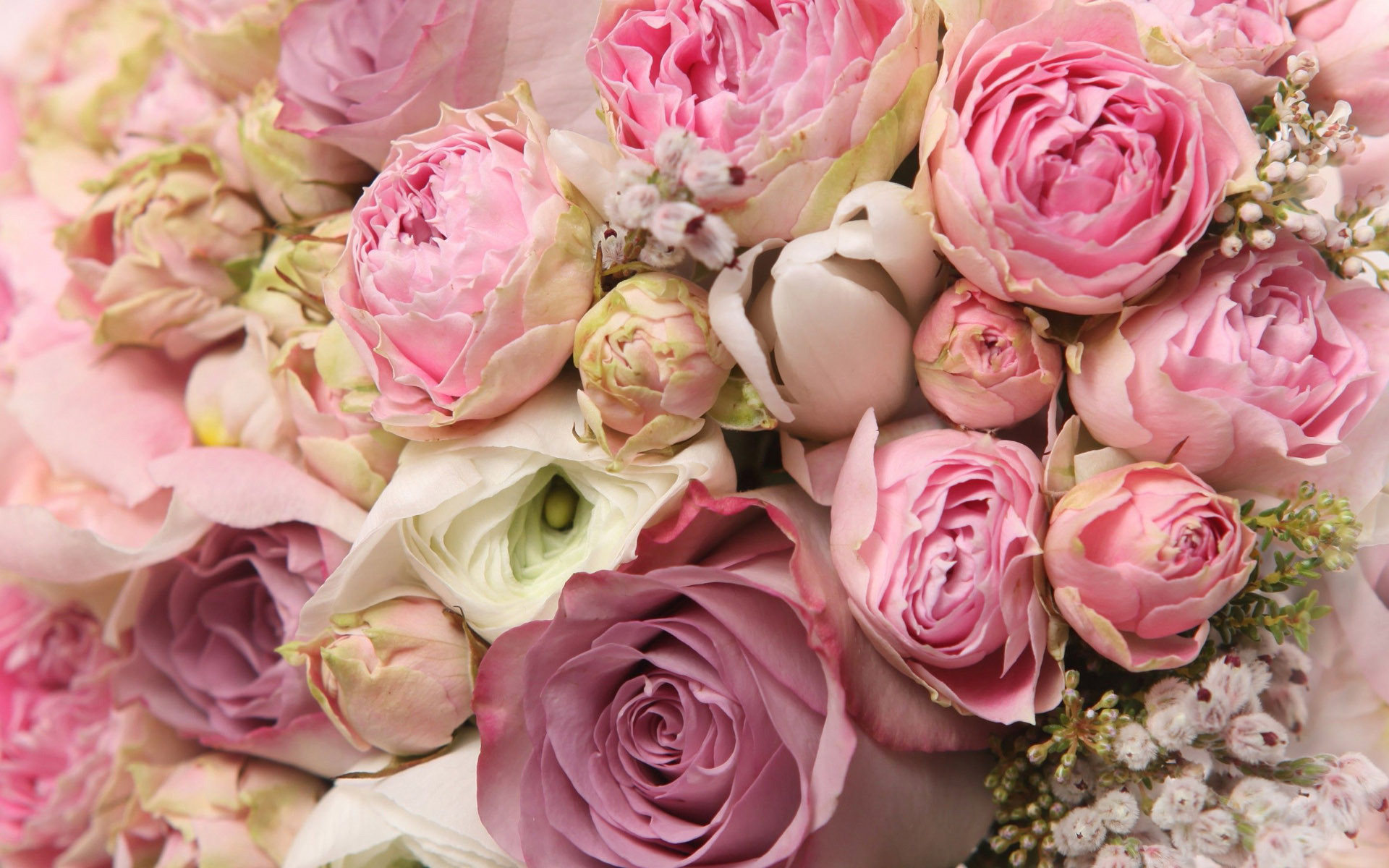 Pink Peonies Wallpaper (46+ images)