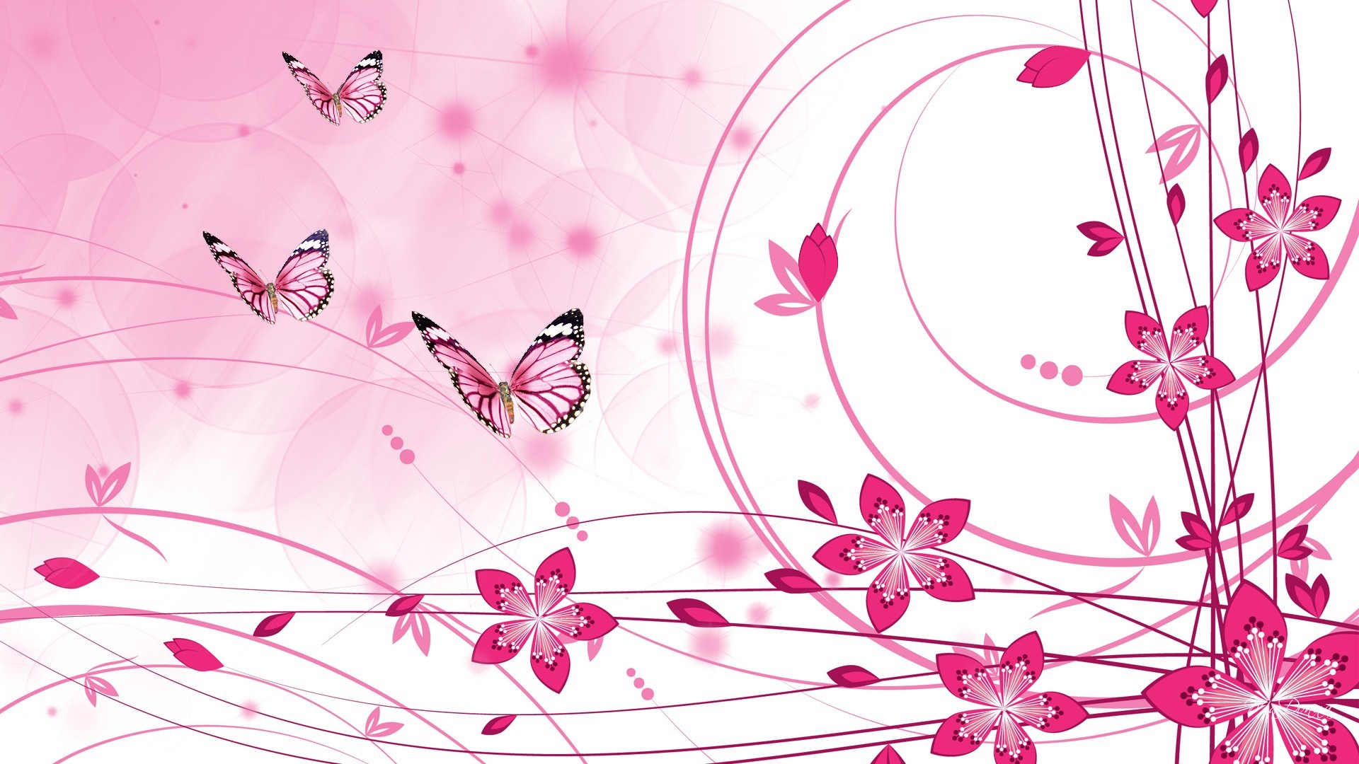 Pink Color Pink Wallpaper (68+ images)