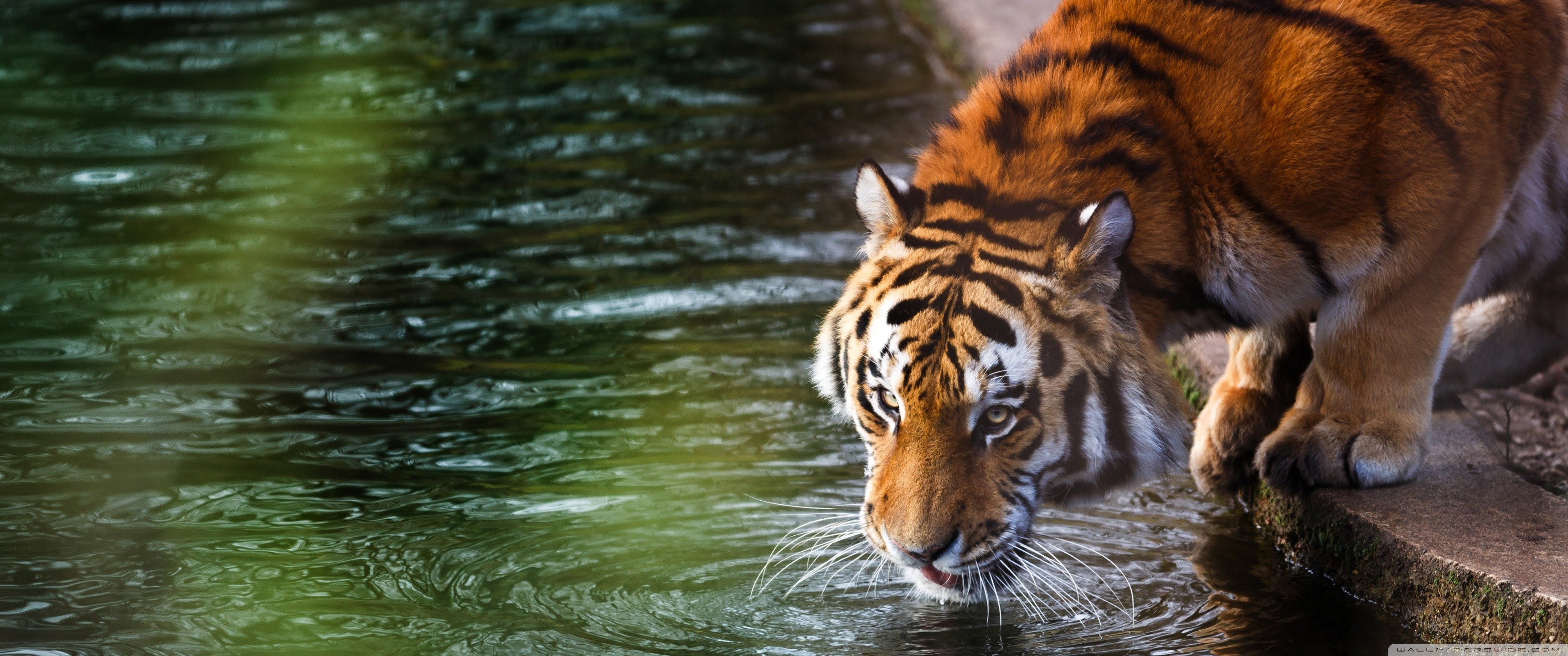 3440 X 1440 Wallpaper Desktop (62+ images)