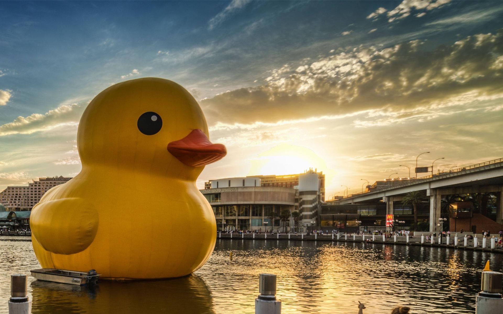 Rubber Duck Wallpaper (56+ images)