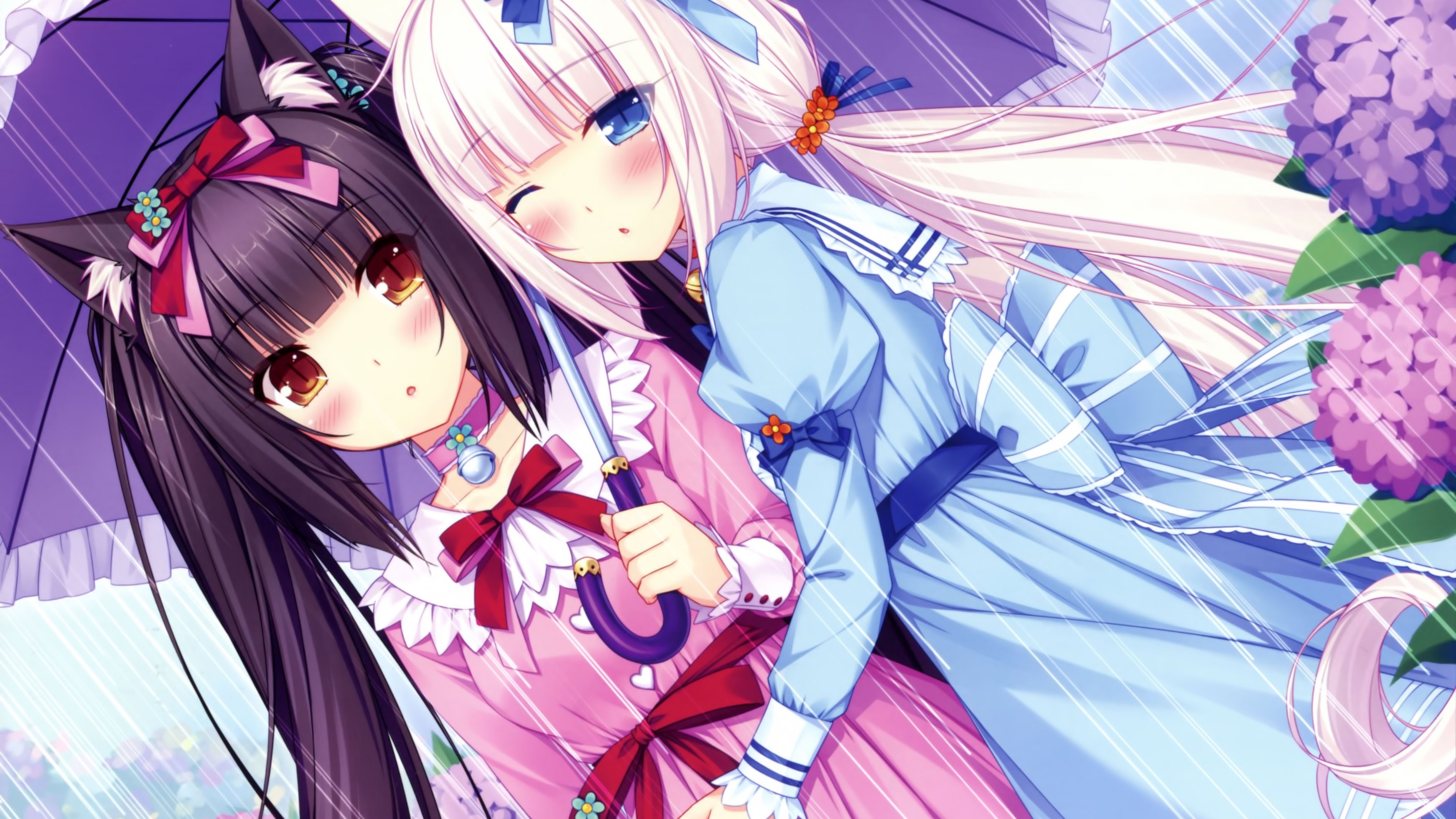 Nekopara Wallpapers (85+ images)
