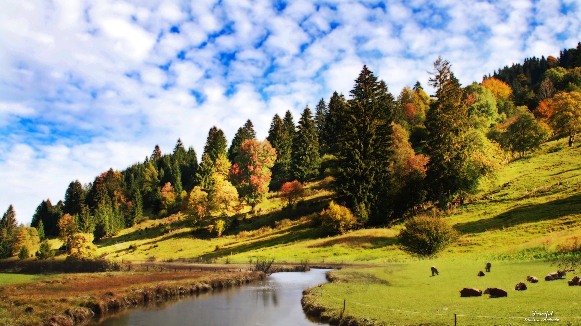 Peaceful Nature Wallpaper (38+ images)