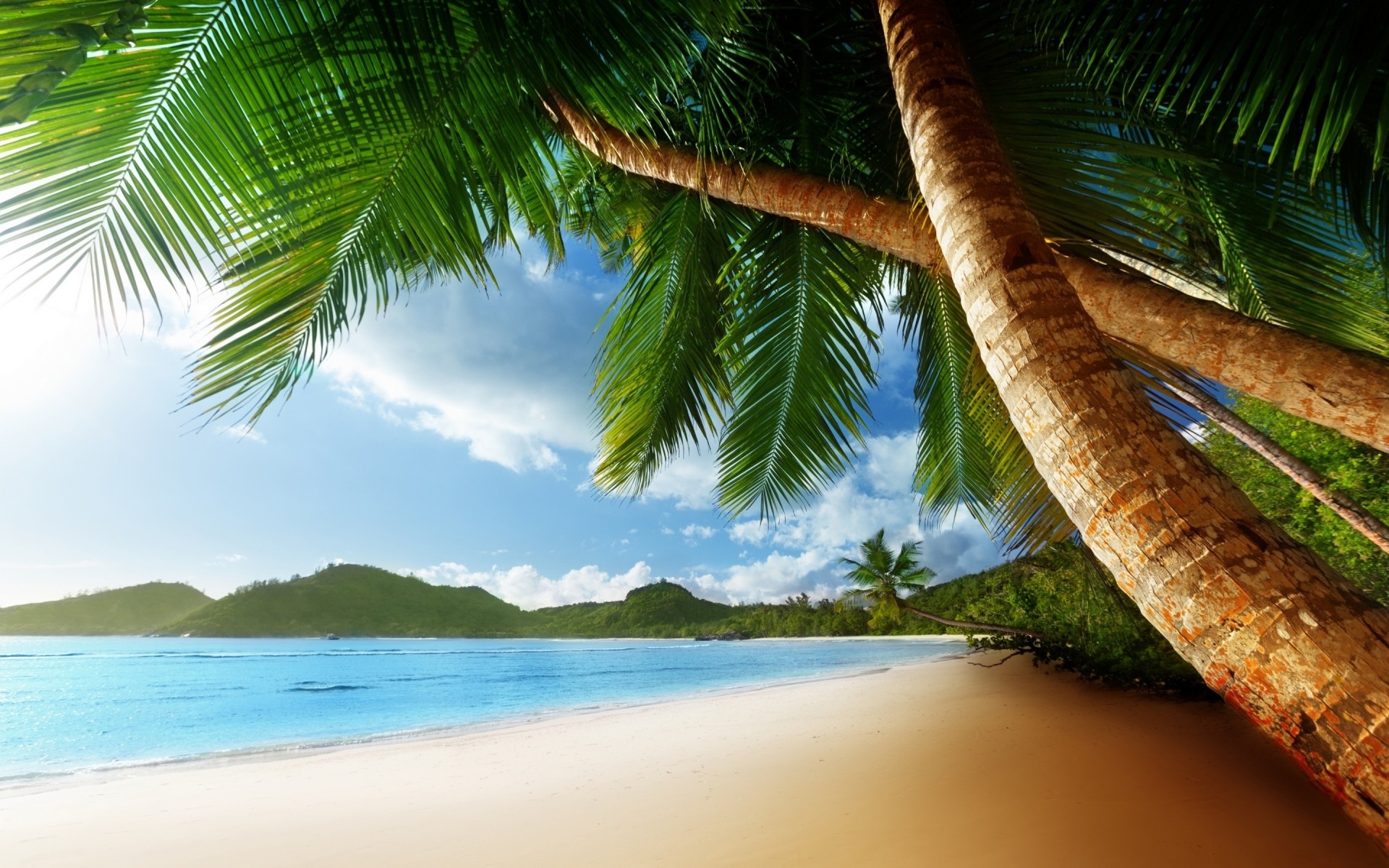 Exotic Beach Wallpaper (62+ images)