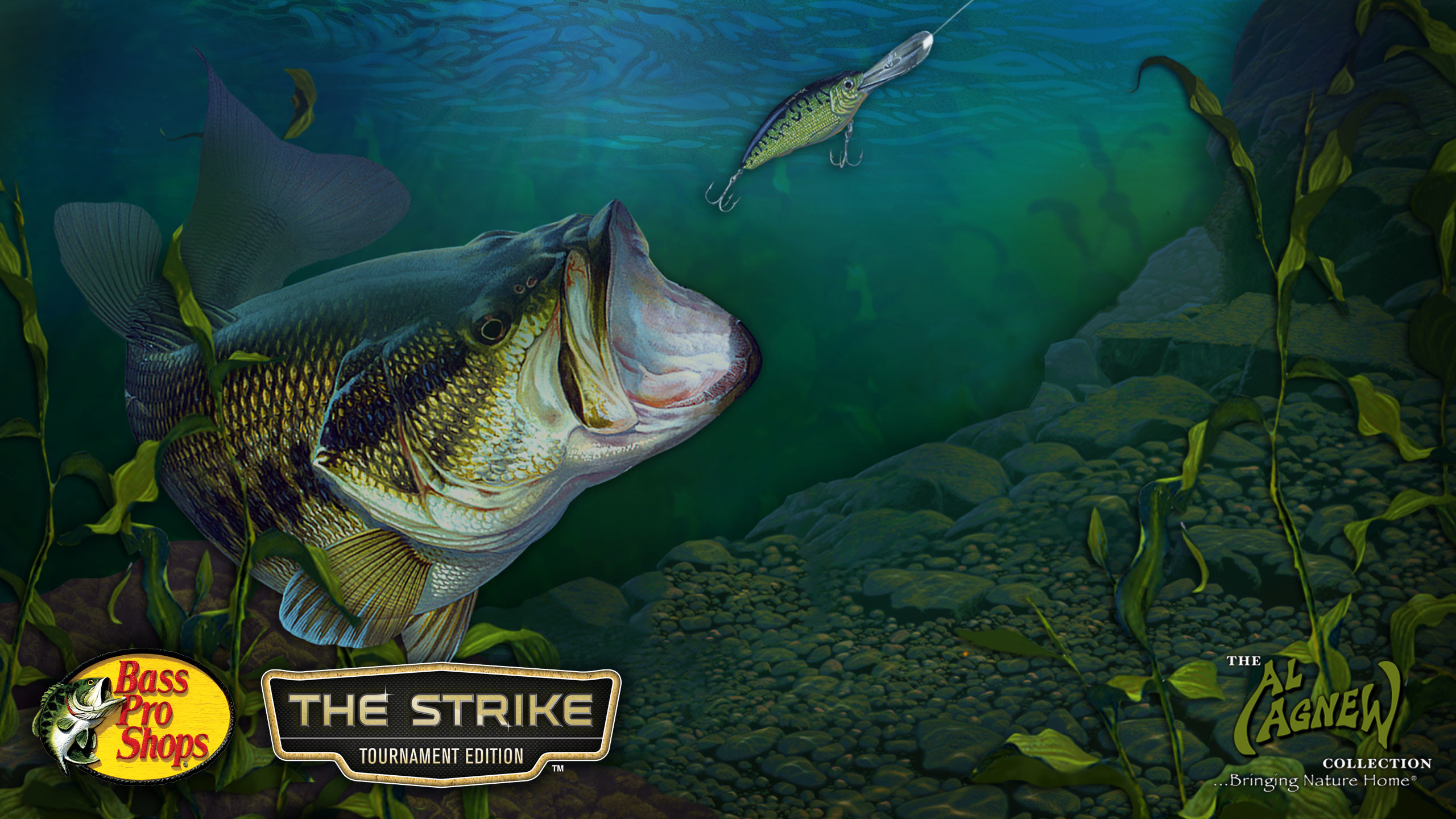 Largemouth Bass Wallpaper for Desktop (42+ images)