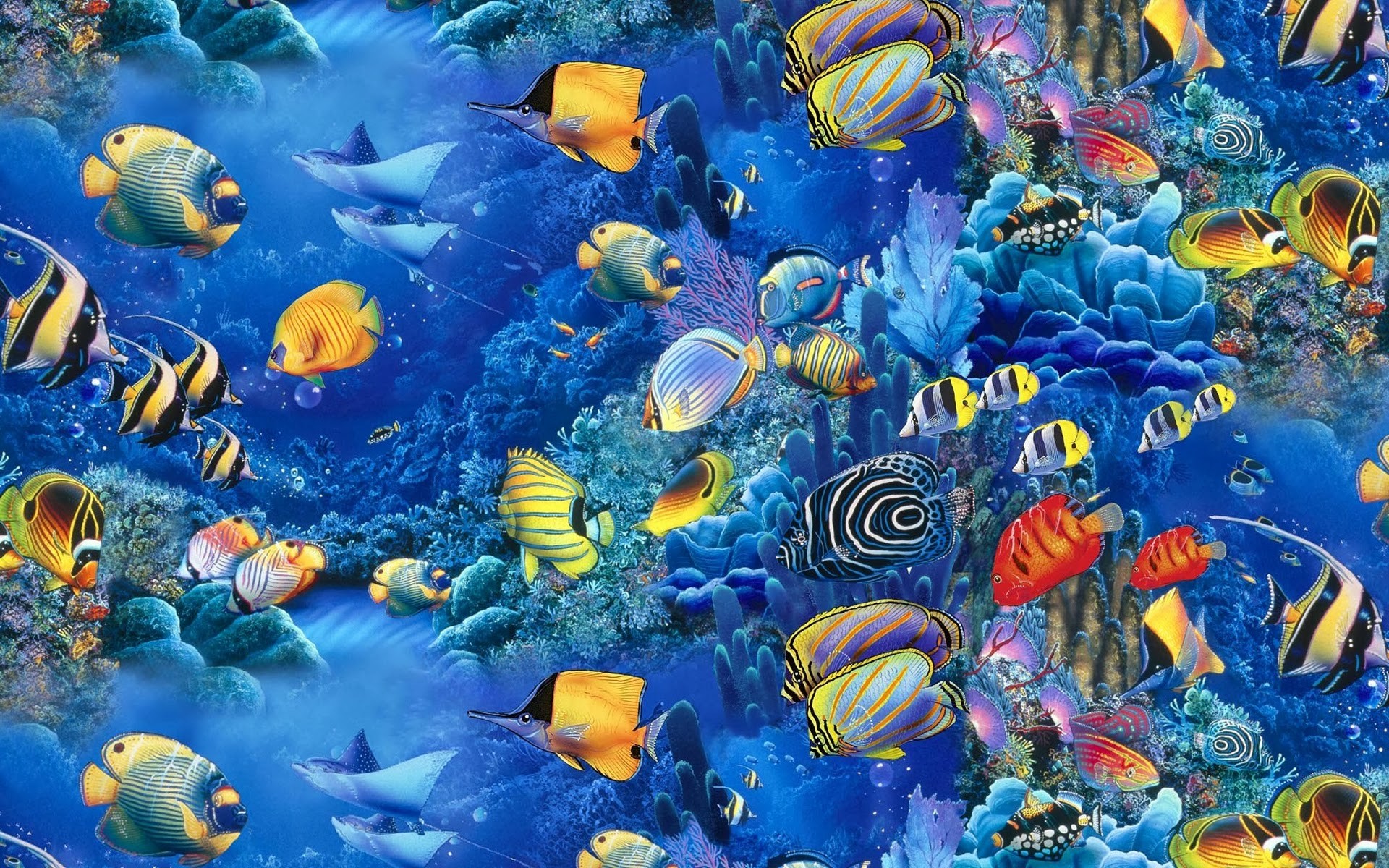 Fish Wallpaper and Screensavers (58+ images)