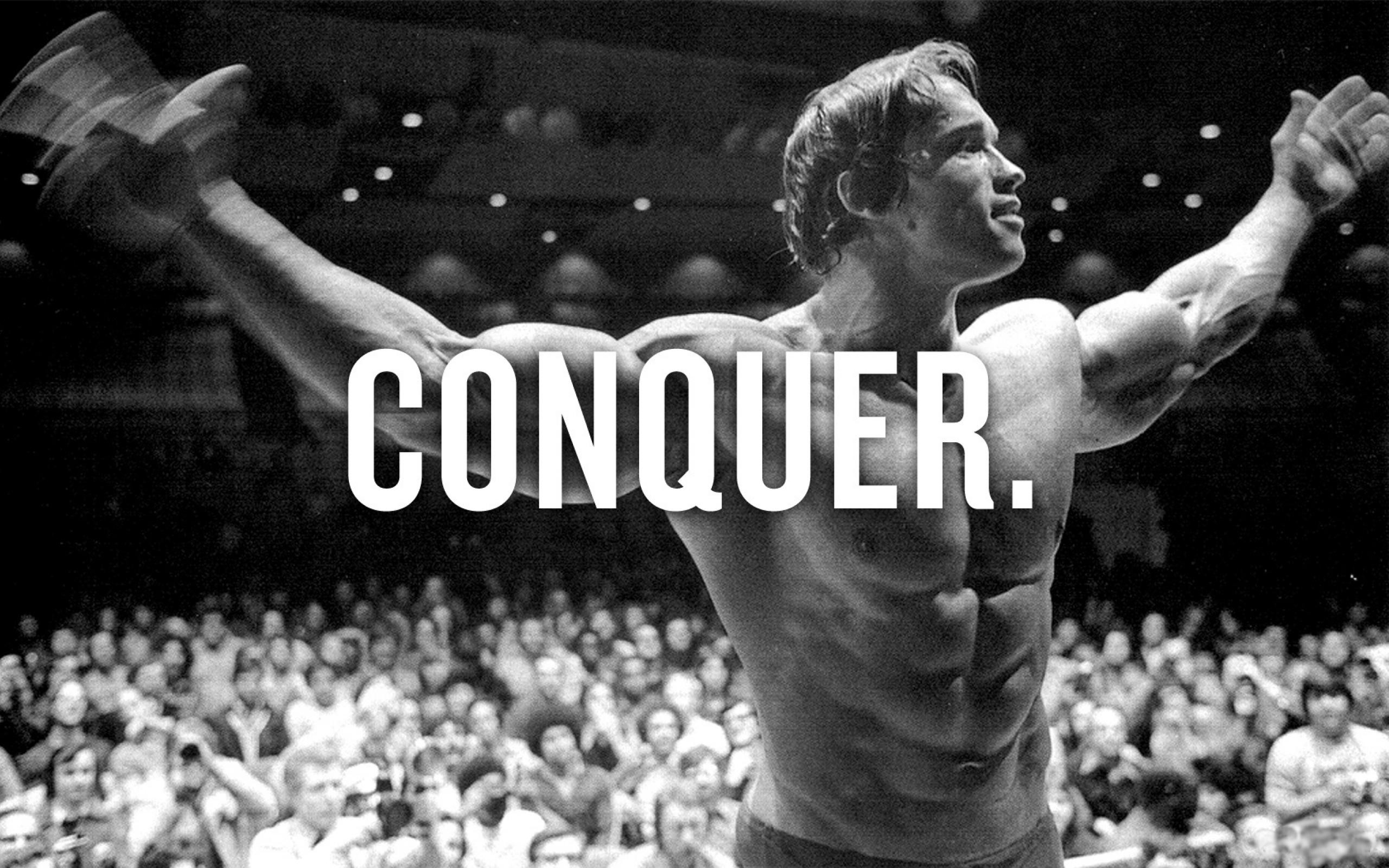 Arnold Schwarzenegger Conquer Wallpaper (73+ images)