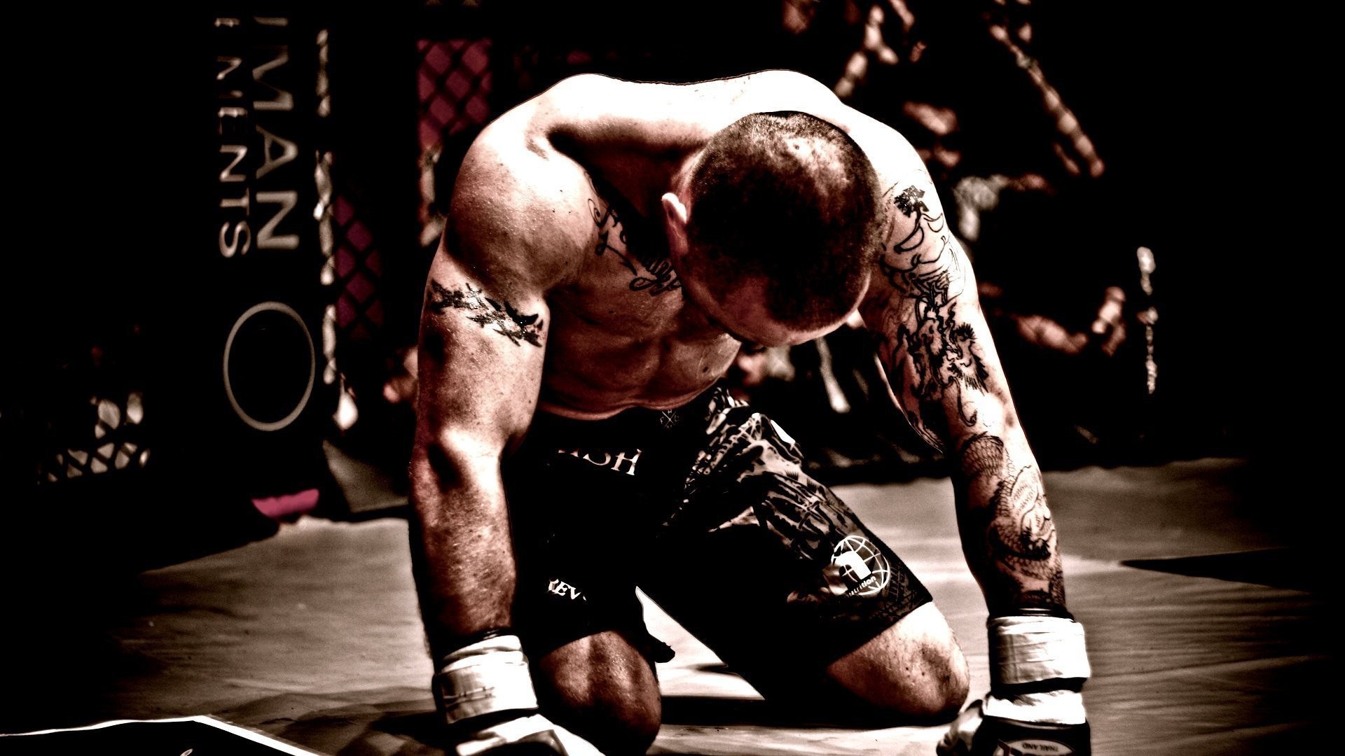HD Mma Wallpaper (68+ images)