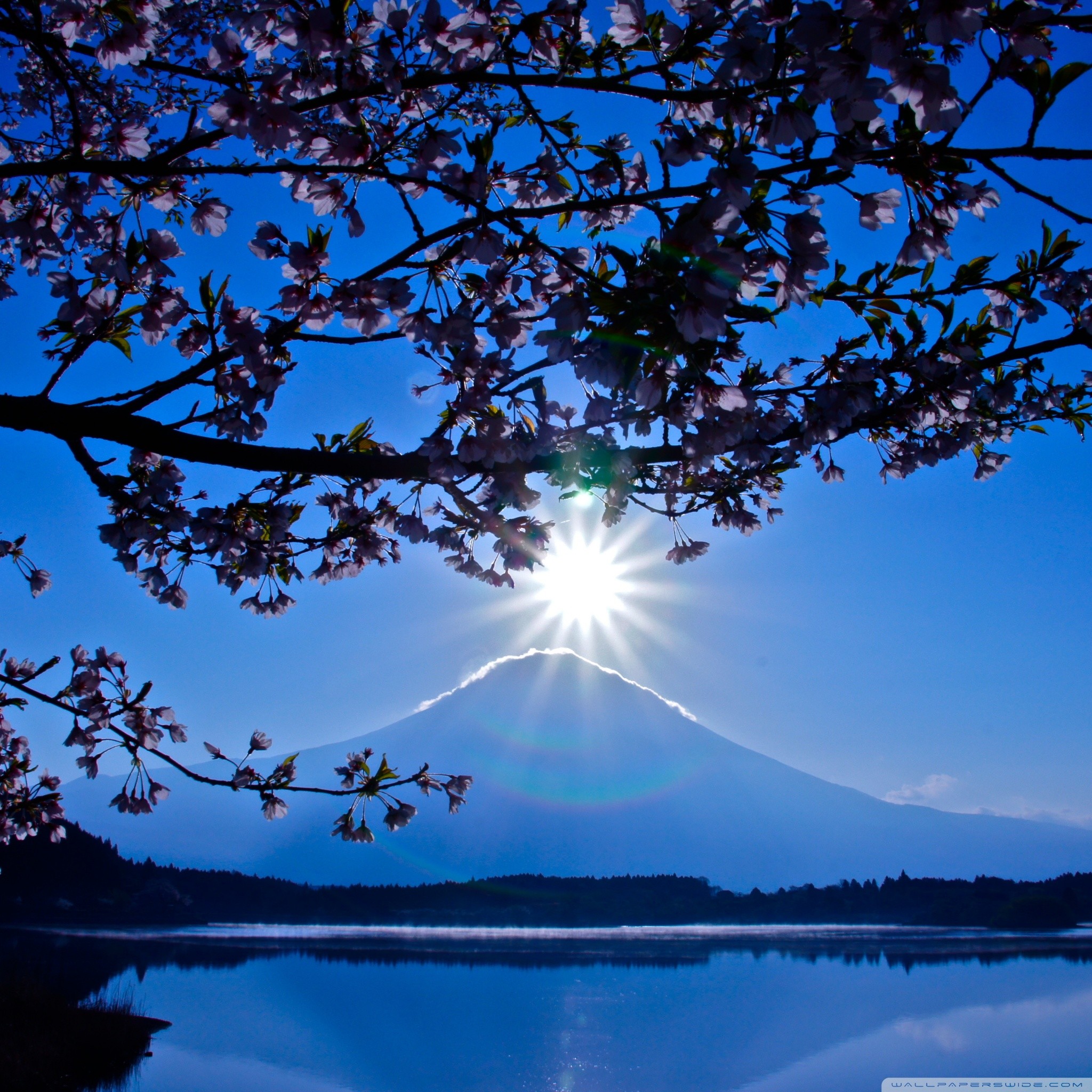 7 Inch Tablet Wallpaper Full Hd Wallpapers