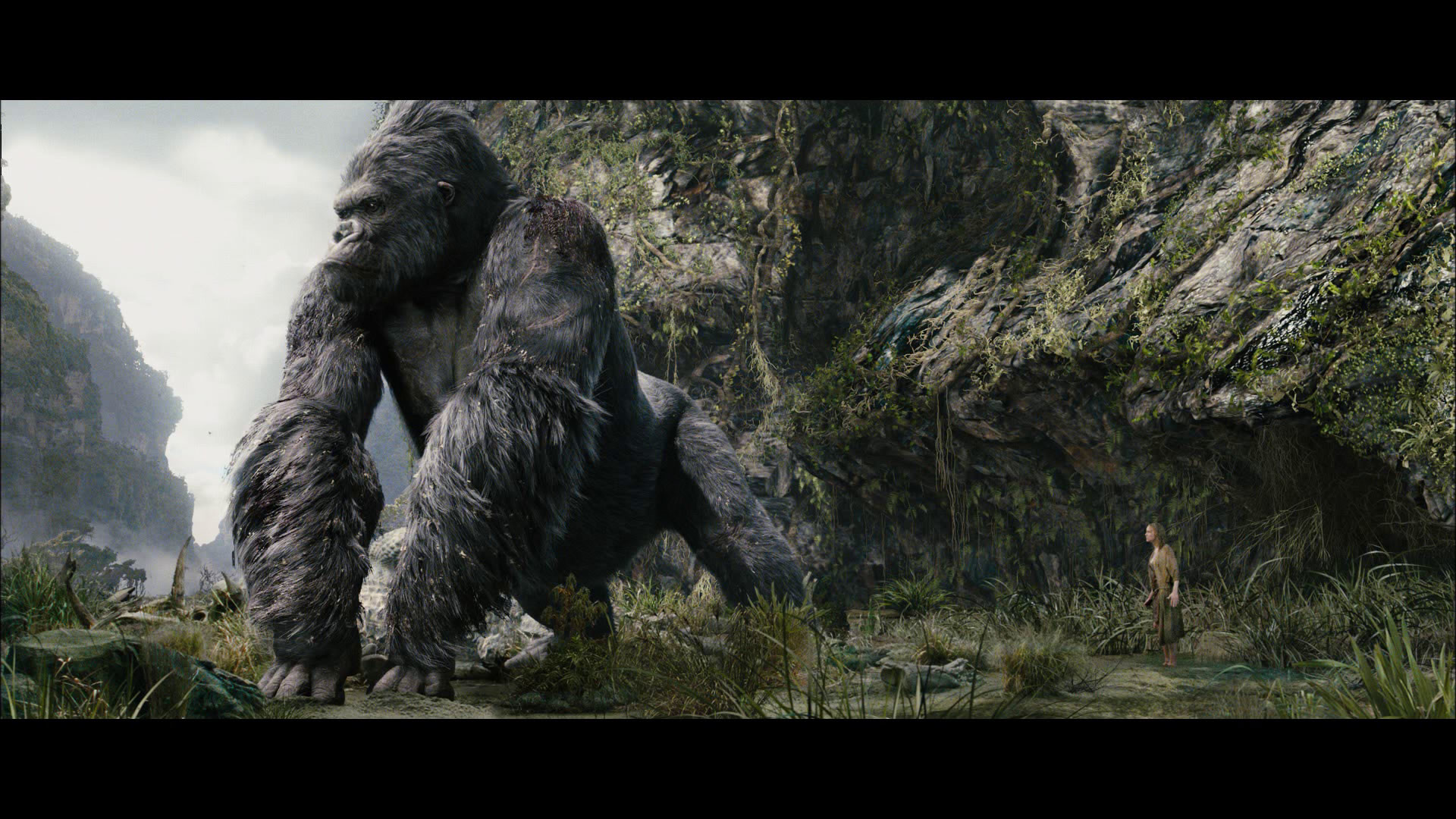 King Kong Wallpaper HD (73+ images)