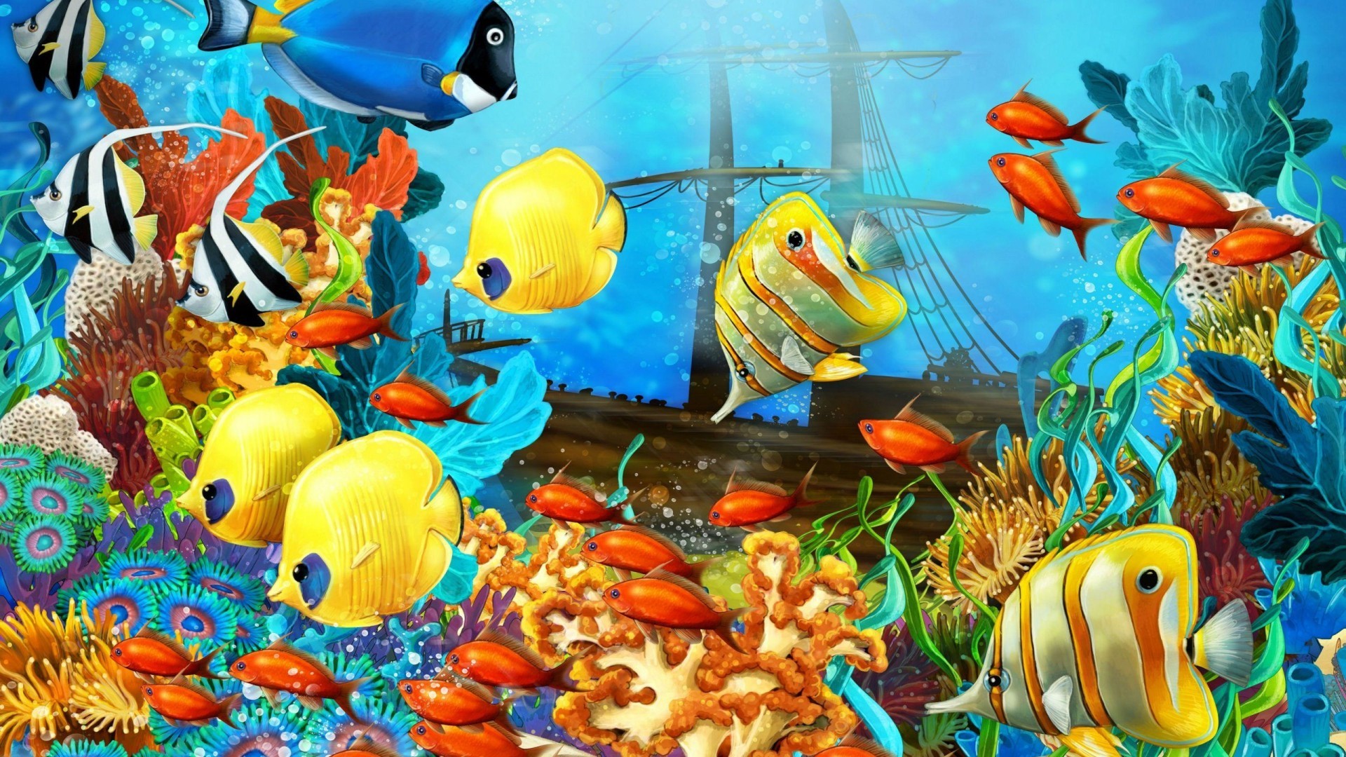 Coral Reef Live Wallpaper (59+ images)