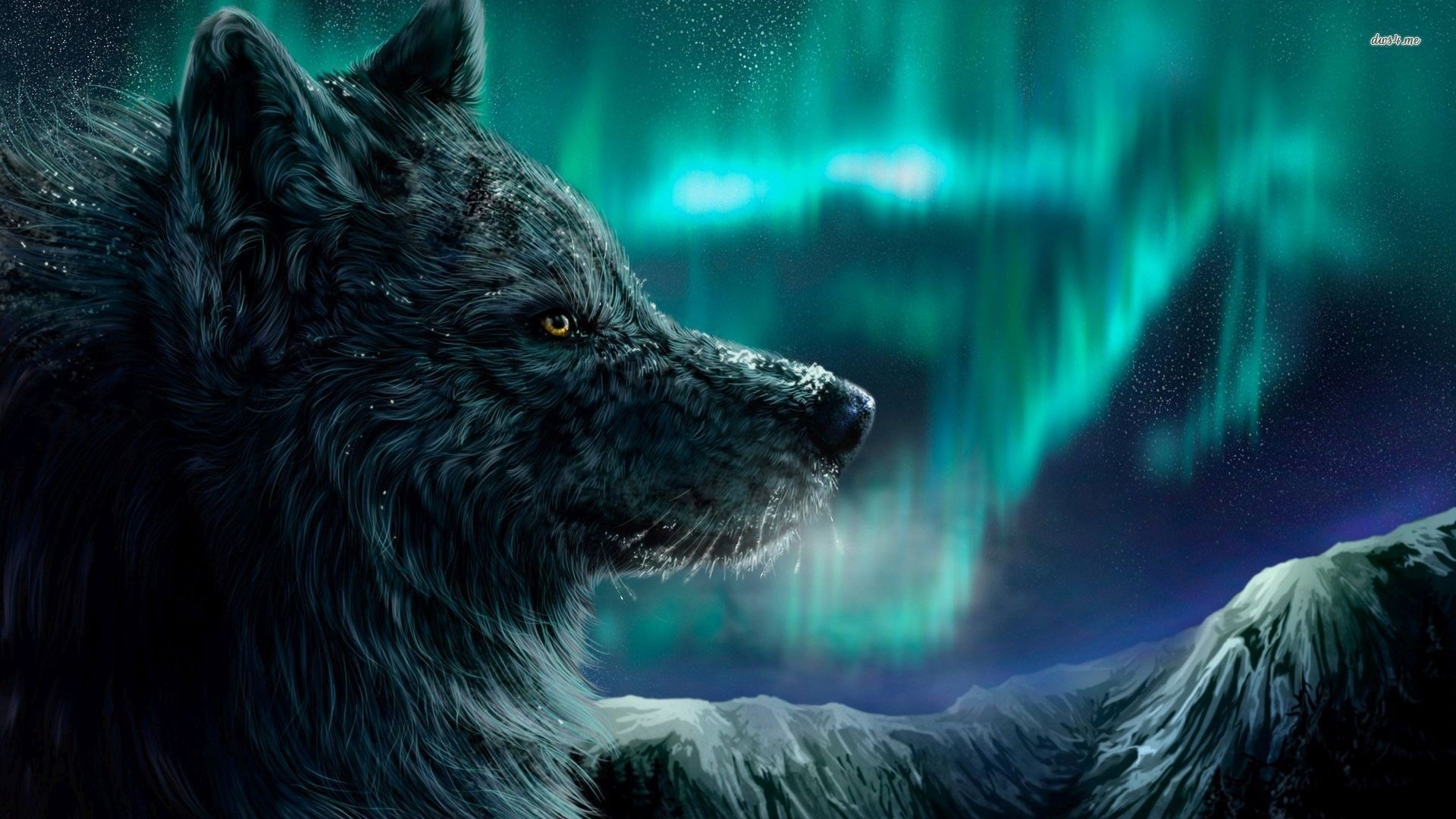 HD Wolf Wallpapers 1080p (71+ images)