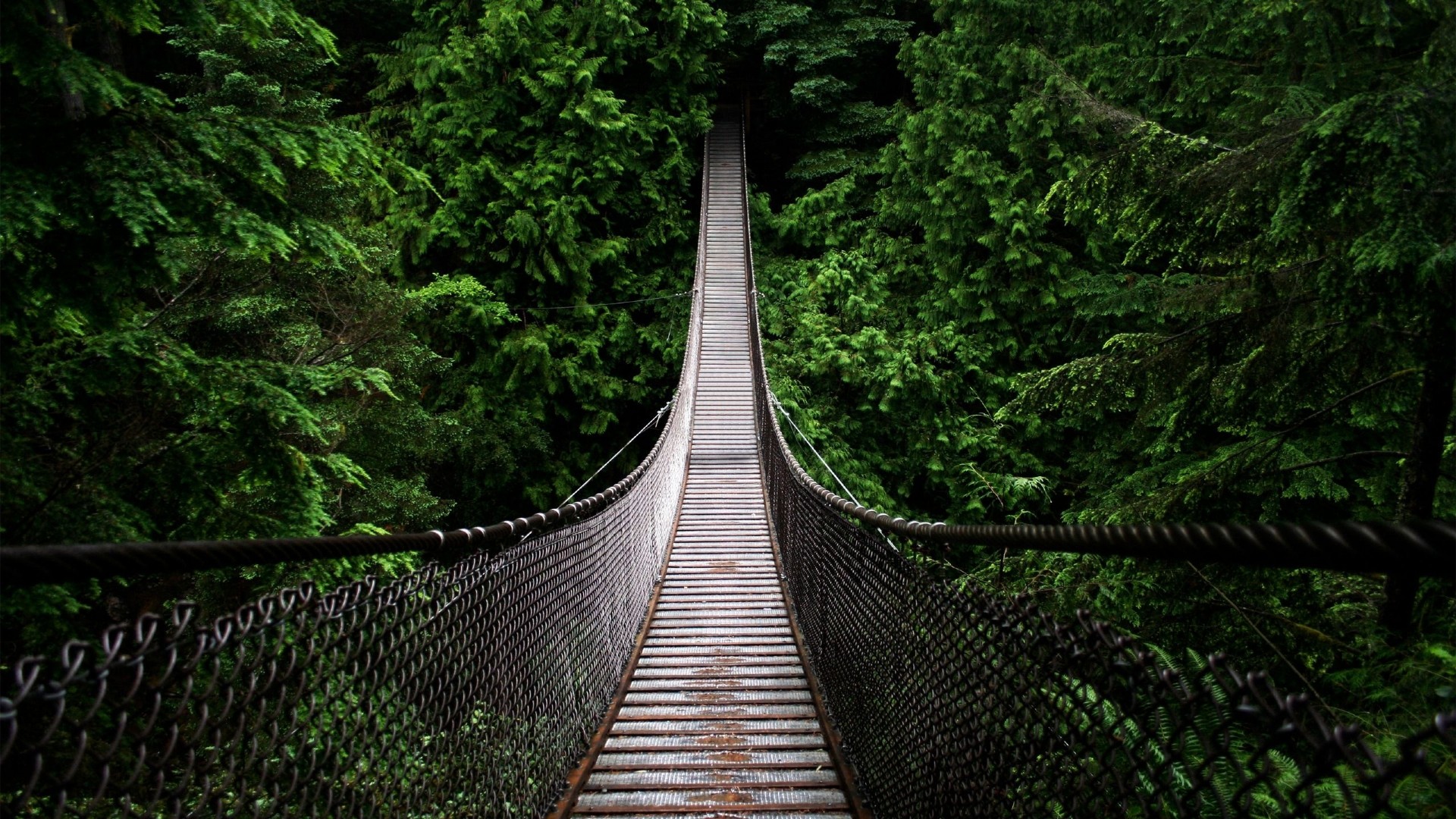 Nature HD Wallpapers 1080p Widescreen (56+ images)