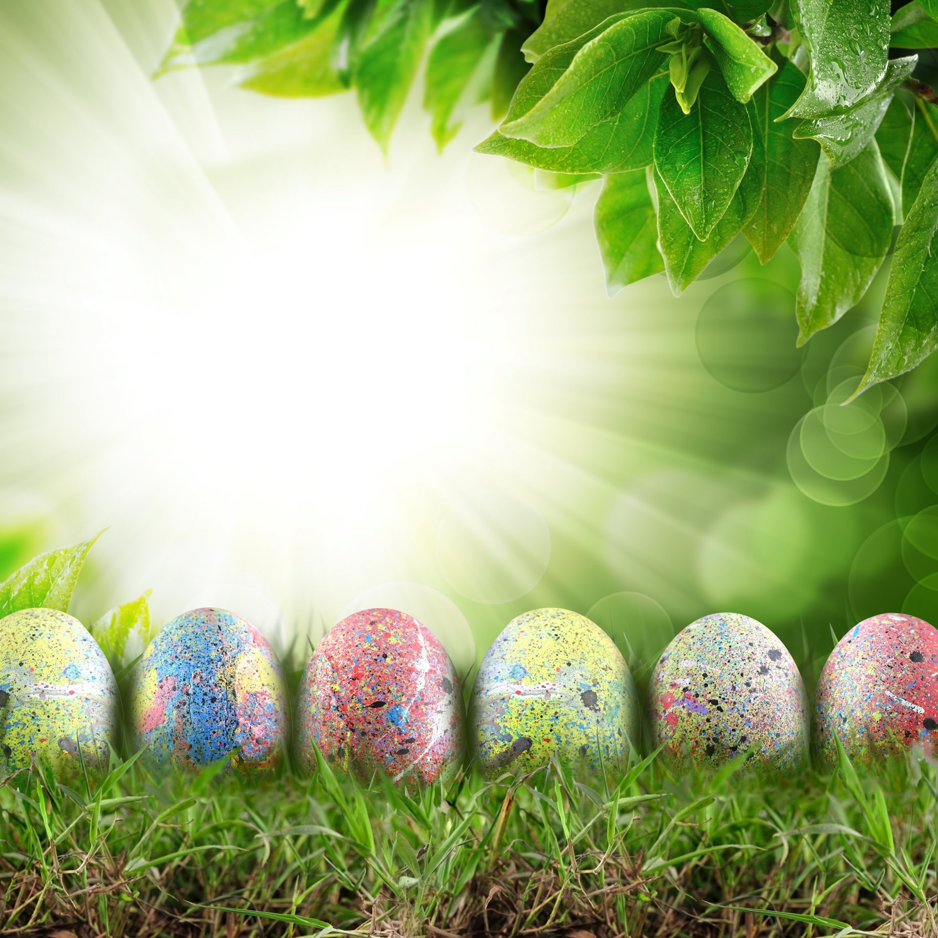 Easter Spring Wallpaper (61+ images)