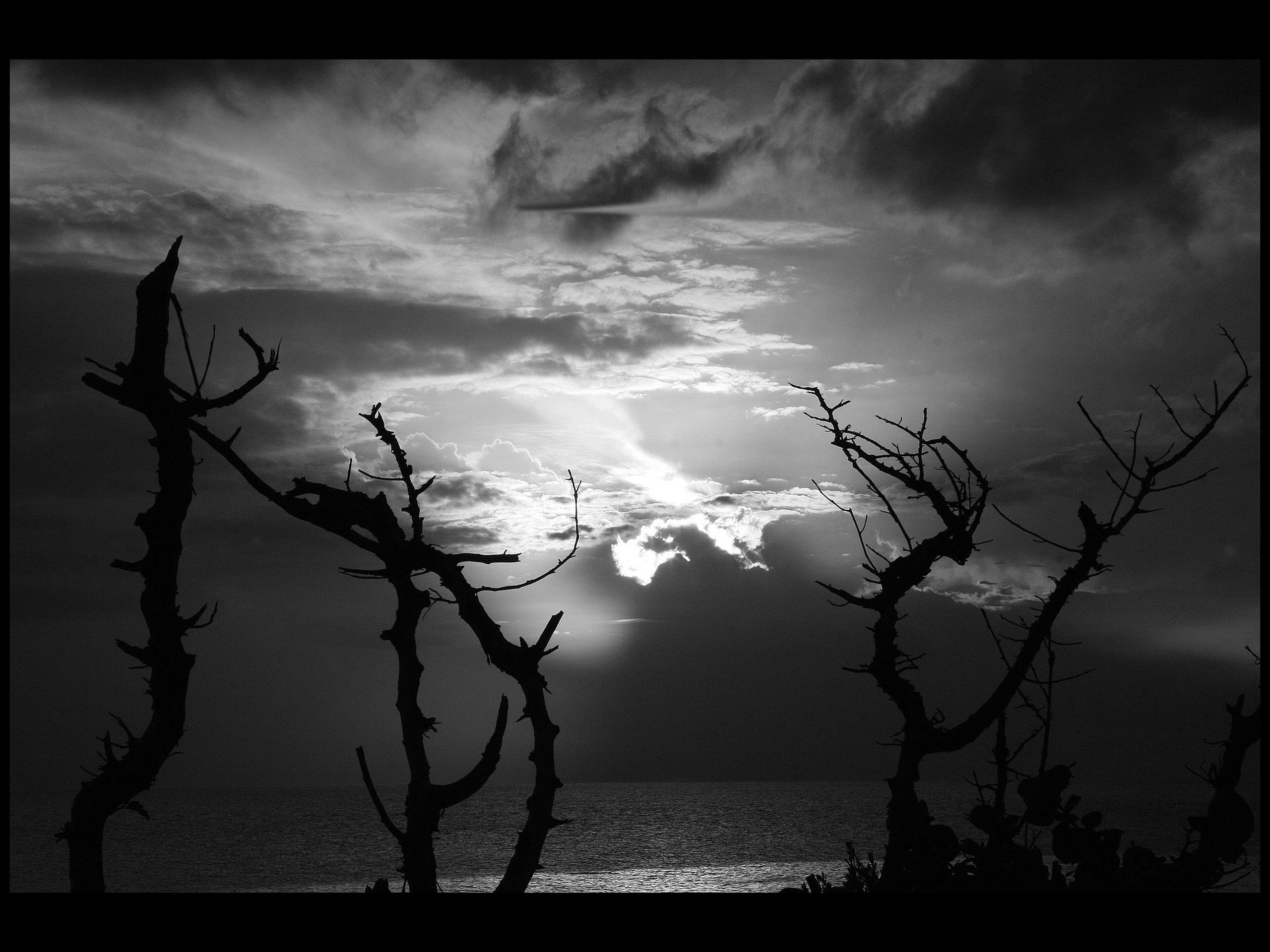 Beautiful Dark Wallpapers (48+ images)