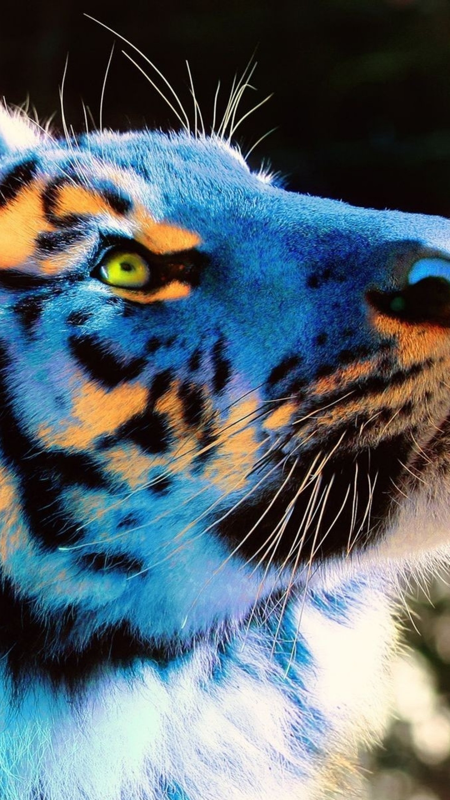 Neon Tiger Wallpaper (65+ images)