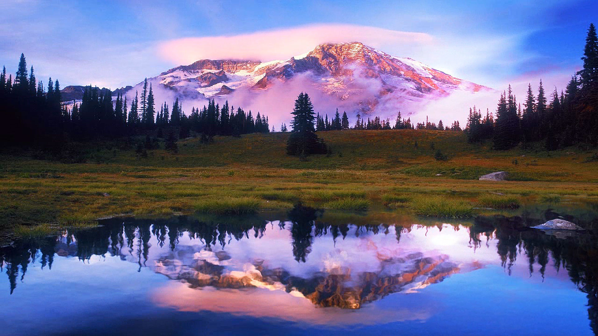 Nature Wallpaper and Screensavers (61+ images)