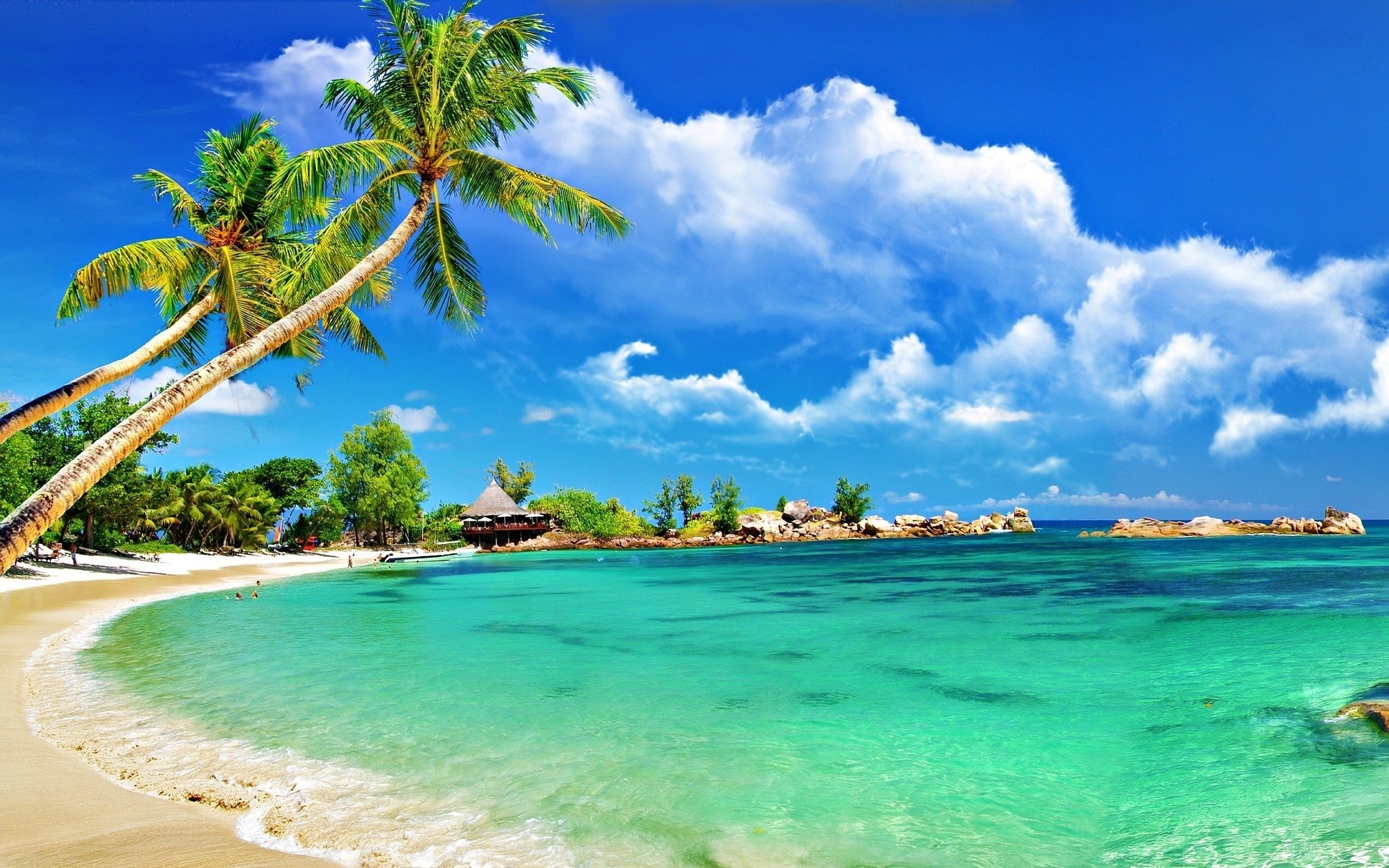Exotic Beach Wallpaper (62+ images)