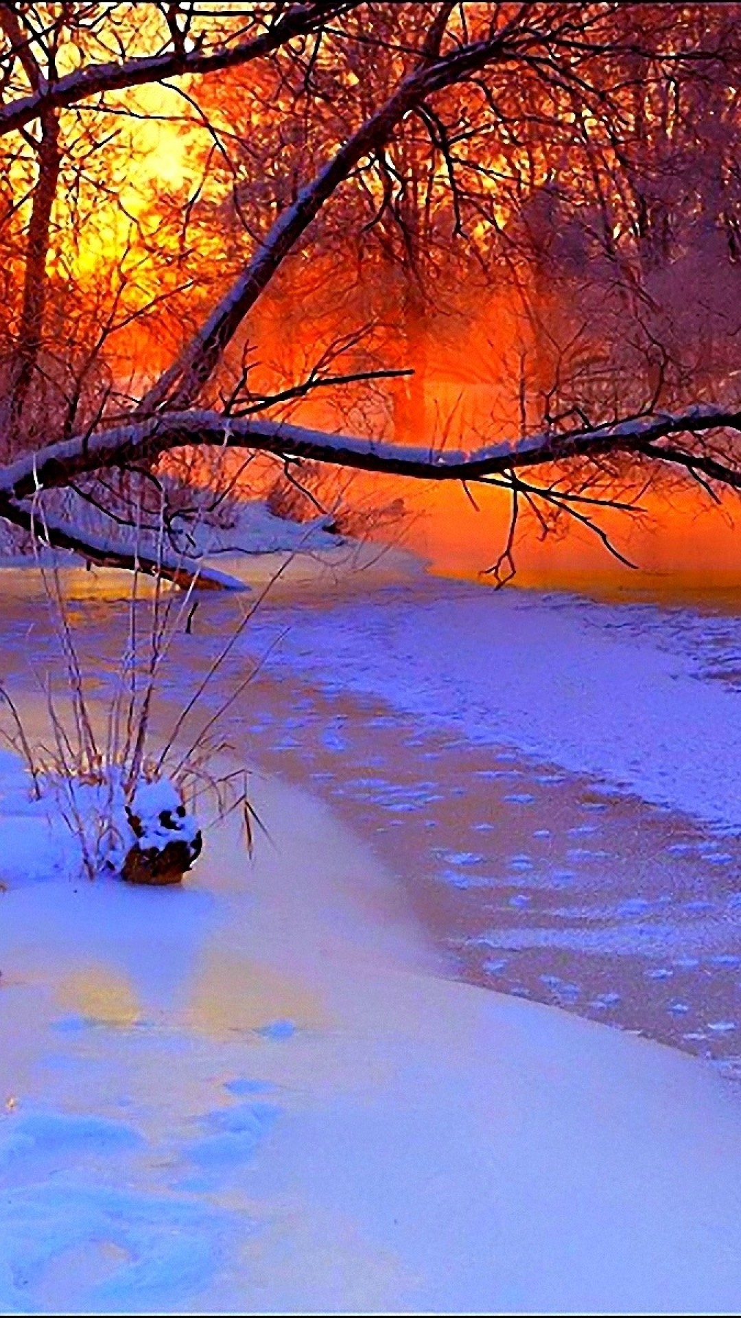 Winter Wonderland Scenes Wallpaper (38+ images)
