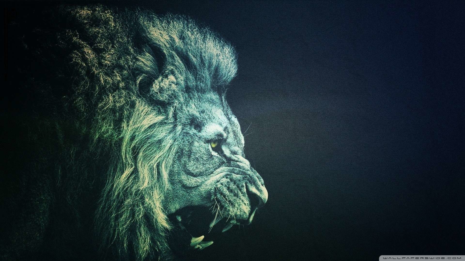 Black Lion HD Wallpaper (64+ images)