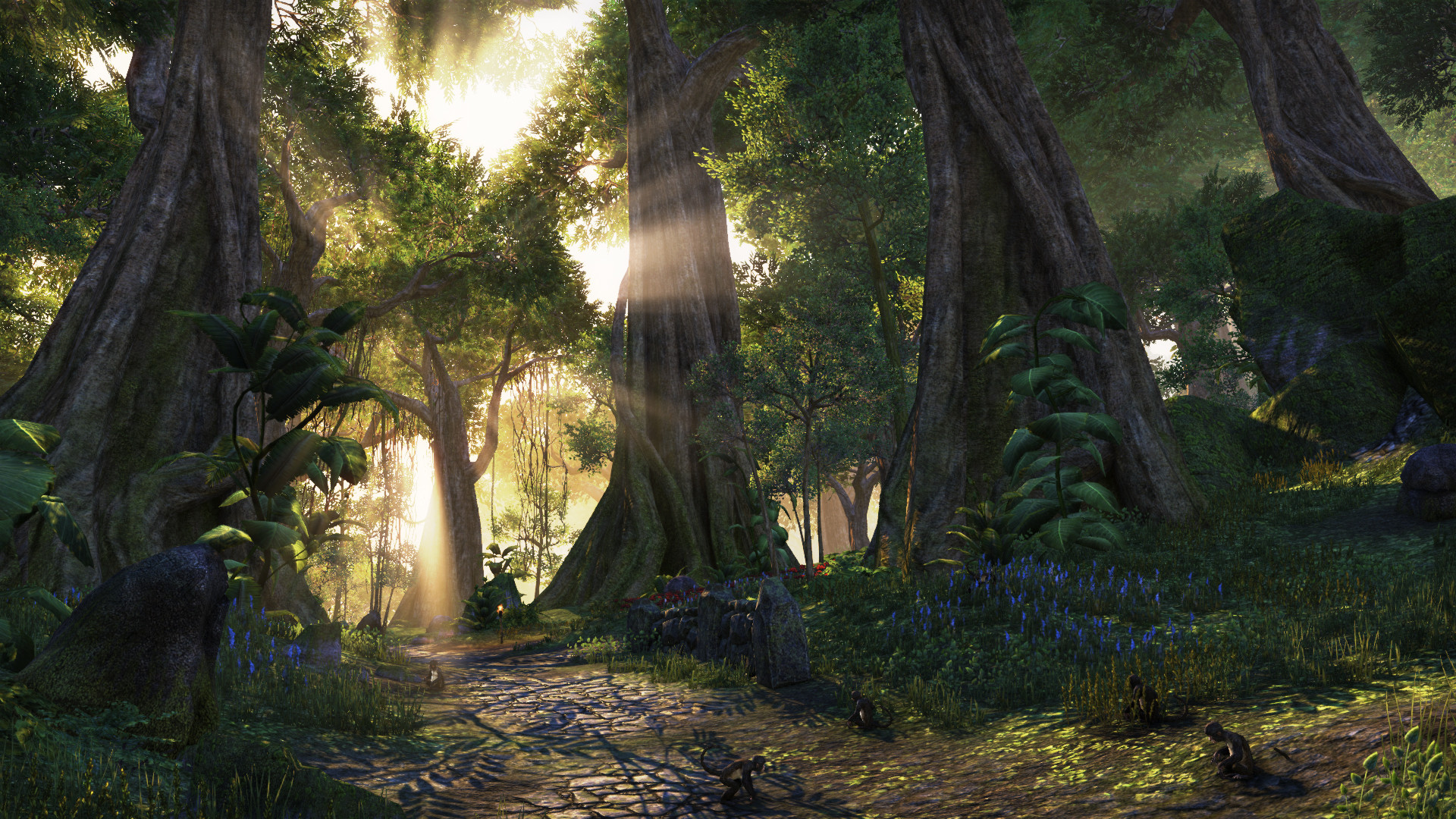 Eso Wallpaper (81+ images)