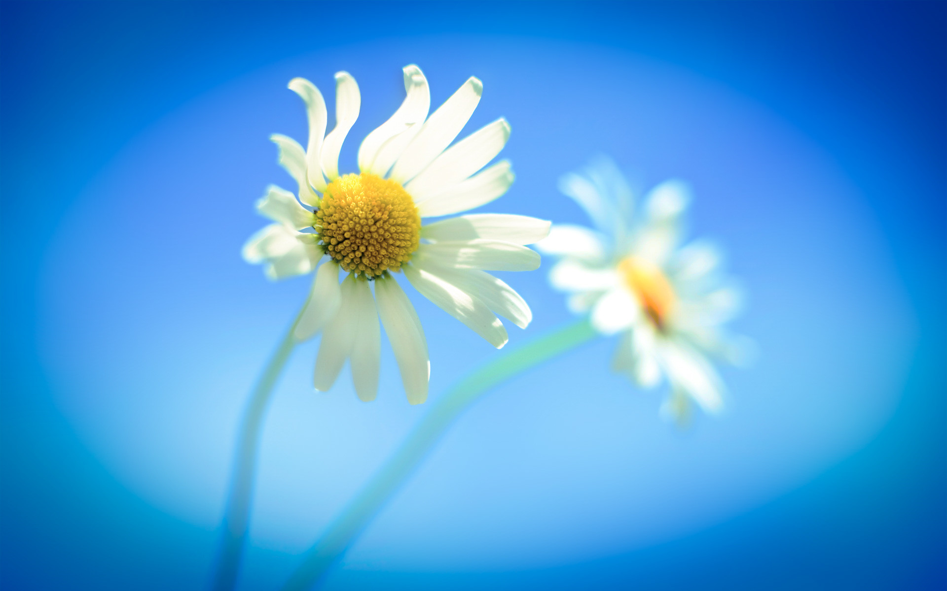 Windows 81 Wallpaper HD 1080p (53+ images)