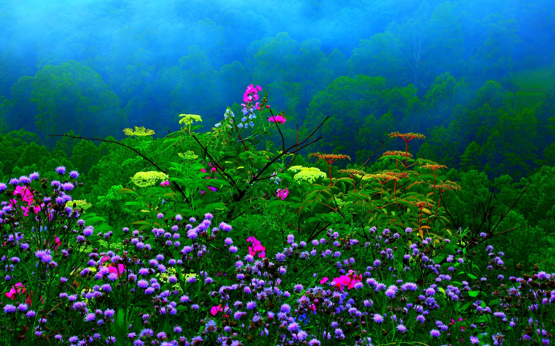 HD Rain Wallpapers (72+ images)