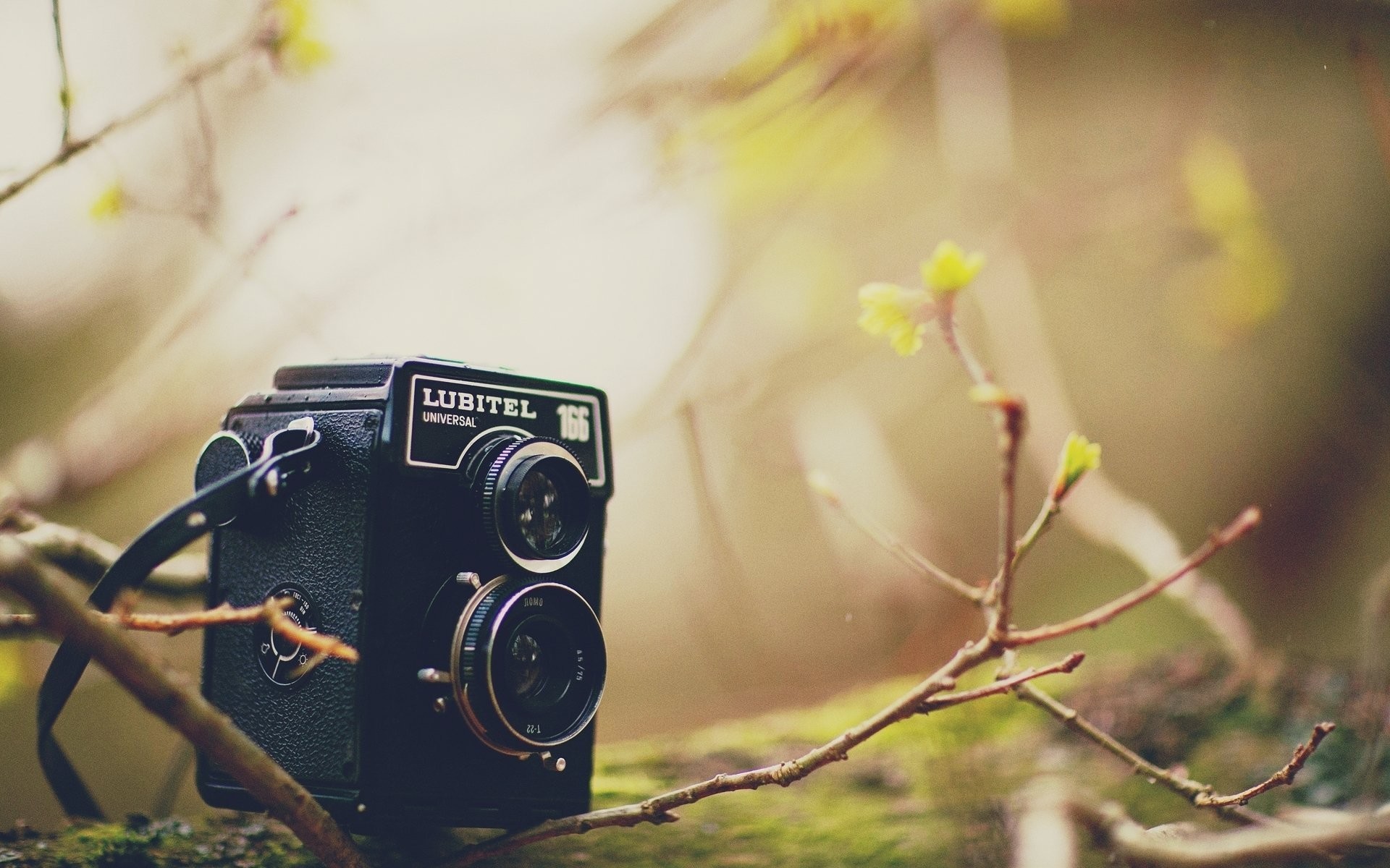 25+ Inspirasi Keren Blur Background Photography Hd Cosy