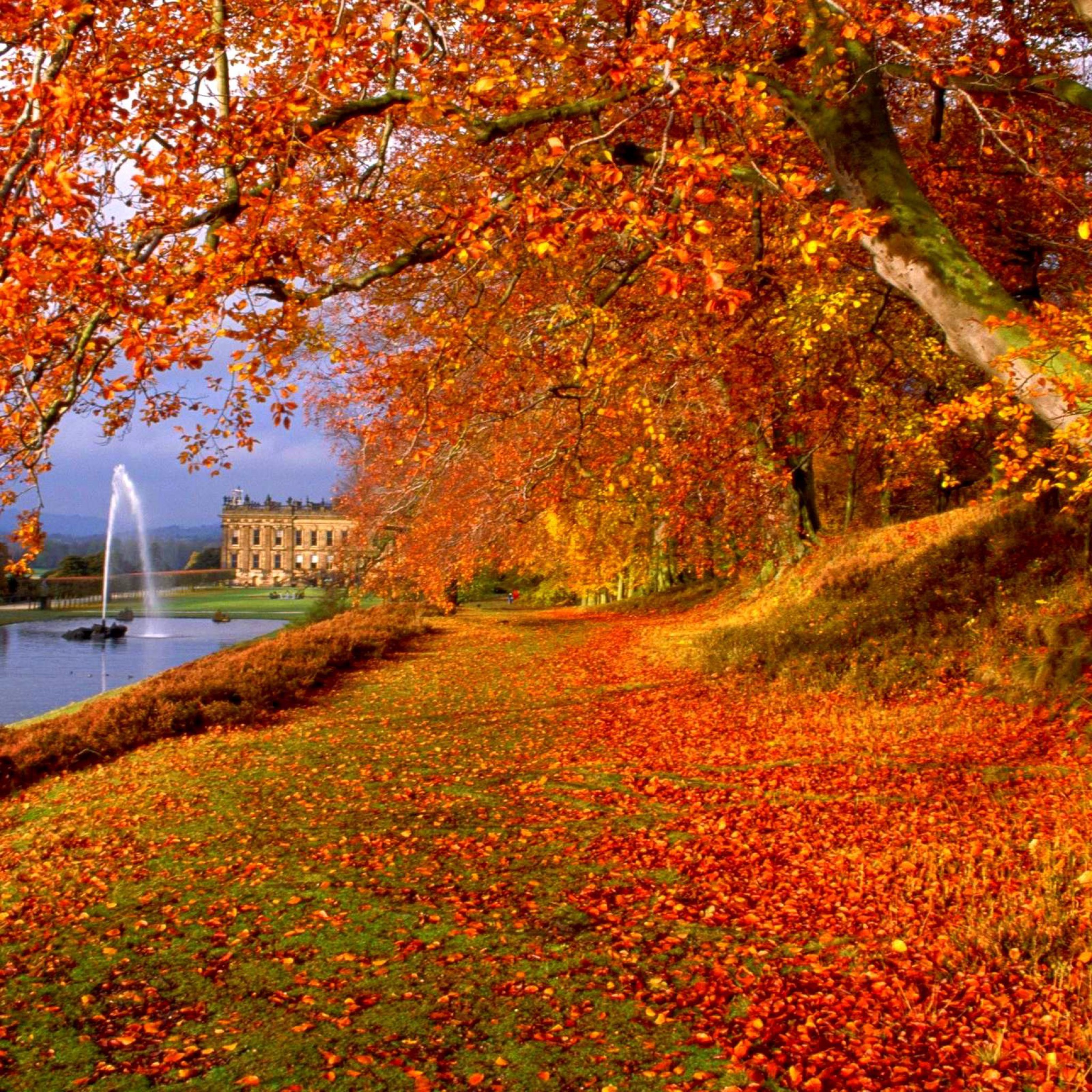 HD Wallpapers for Tablets (62+ images)