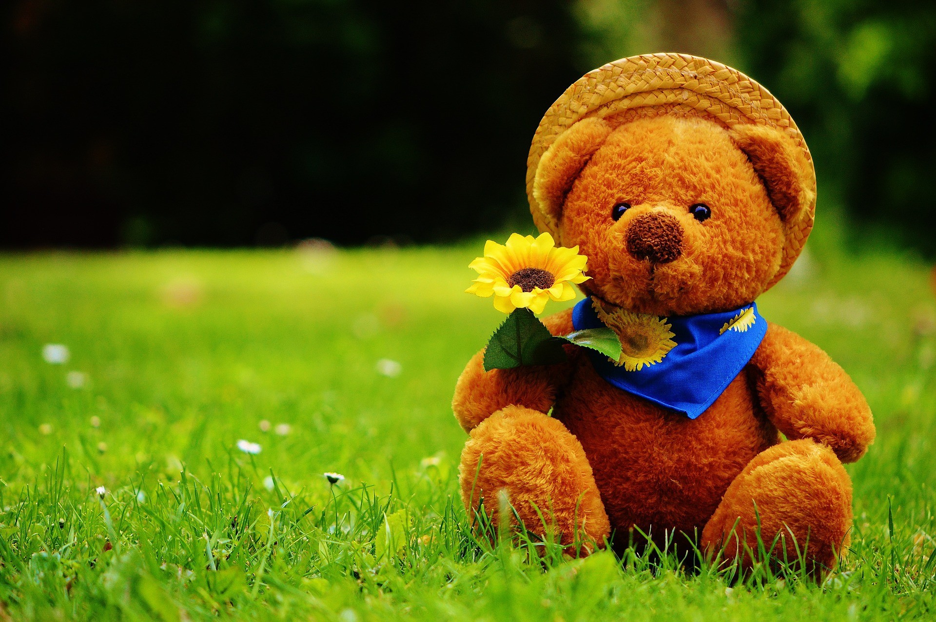 Teddy Bear Wallpaper And Screensavers (65+ images)