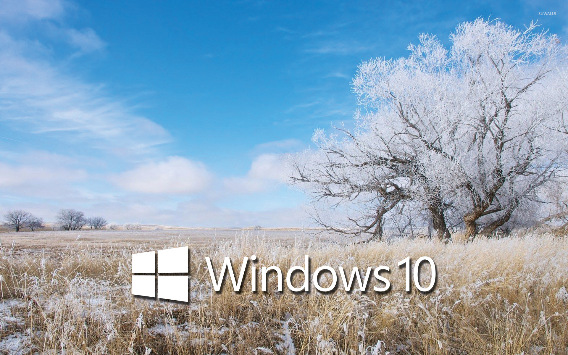 Windows 10 Snow Wallpaper (59+ images)