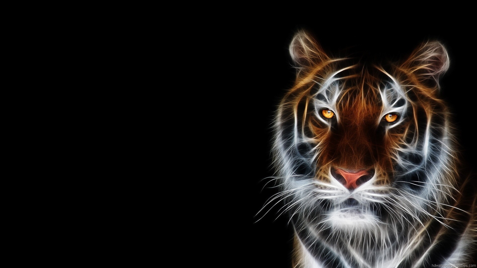 HD Animal Wallpaper 1920x1080 (73+ images)