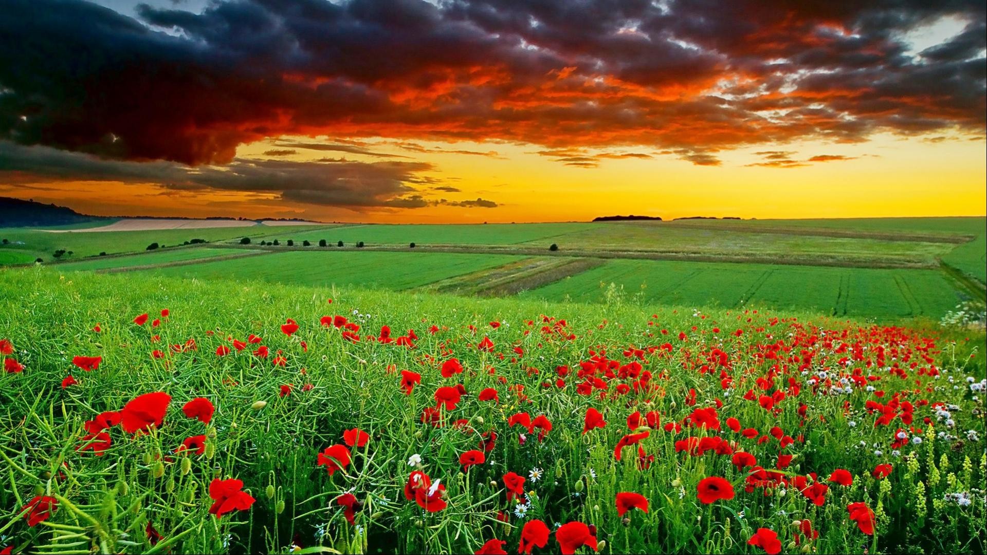 1360 X 768 HD Wallpapers (71+ images)