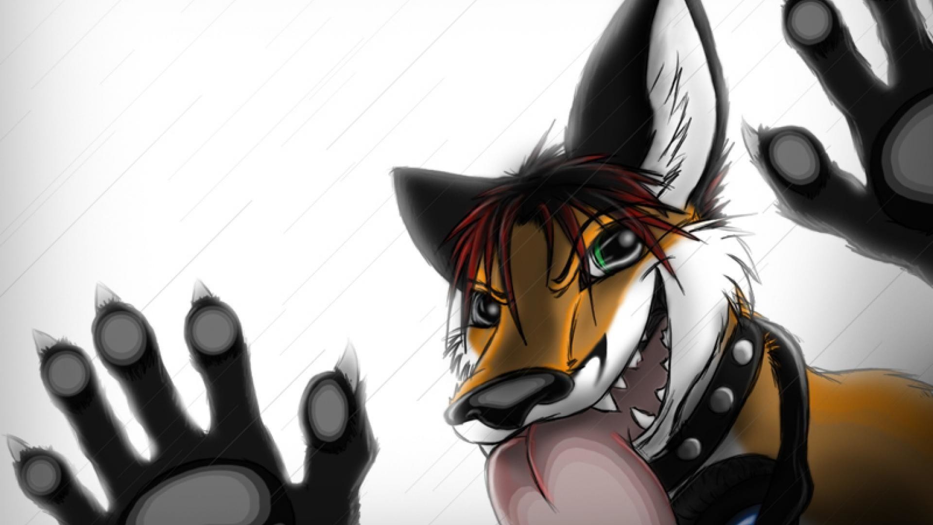 Cool Furry Wallpaper (63+ images)