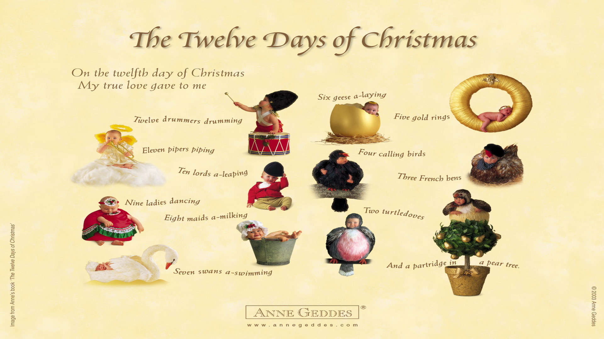Anne Geddes Christmas Babies Wallpaper (64+ images)