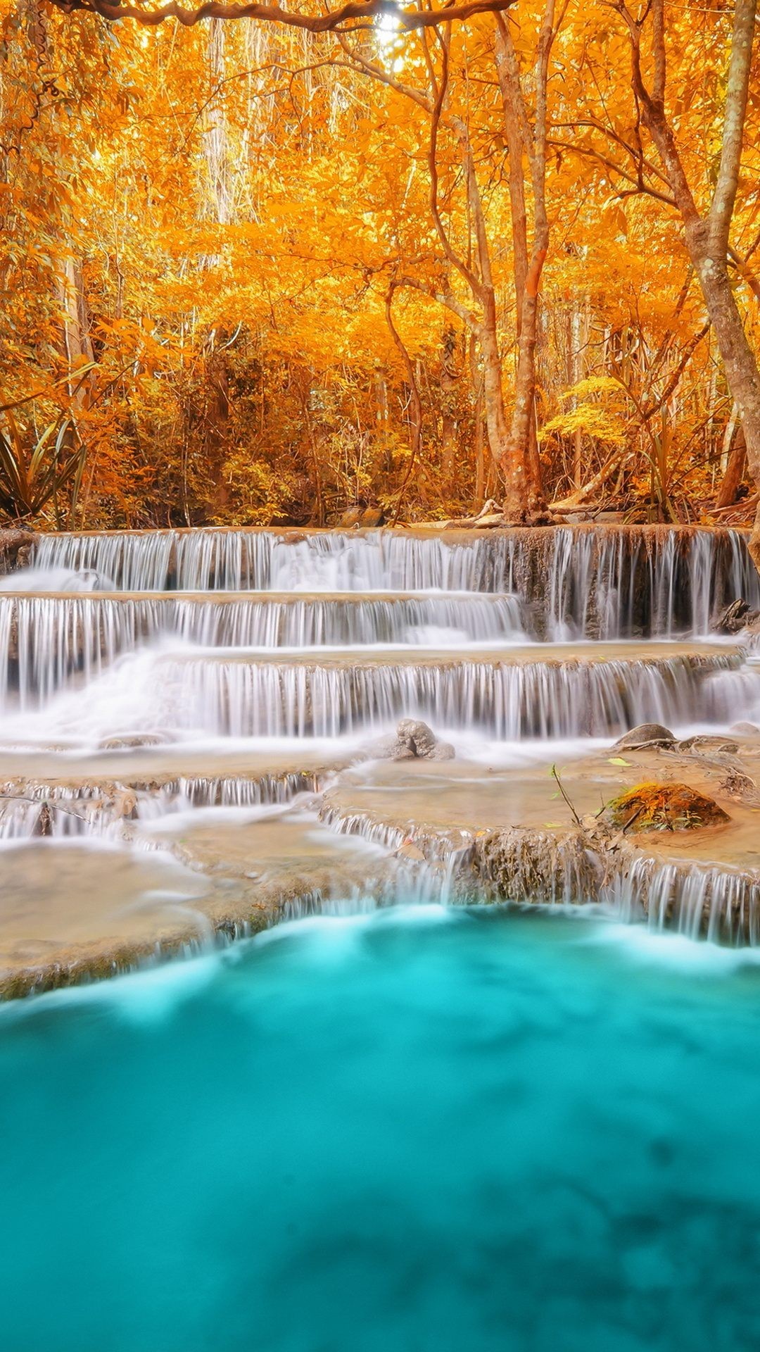 Nature Cool Iphone Wallpaper Hd Free download latest collection of