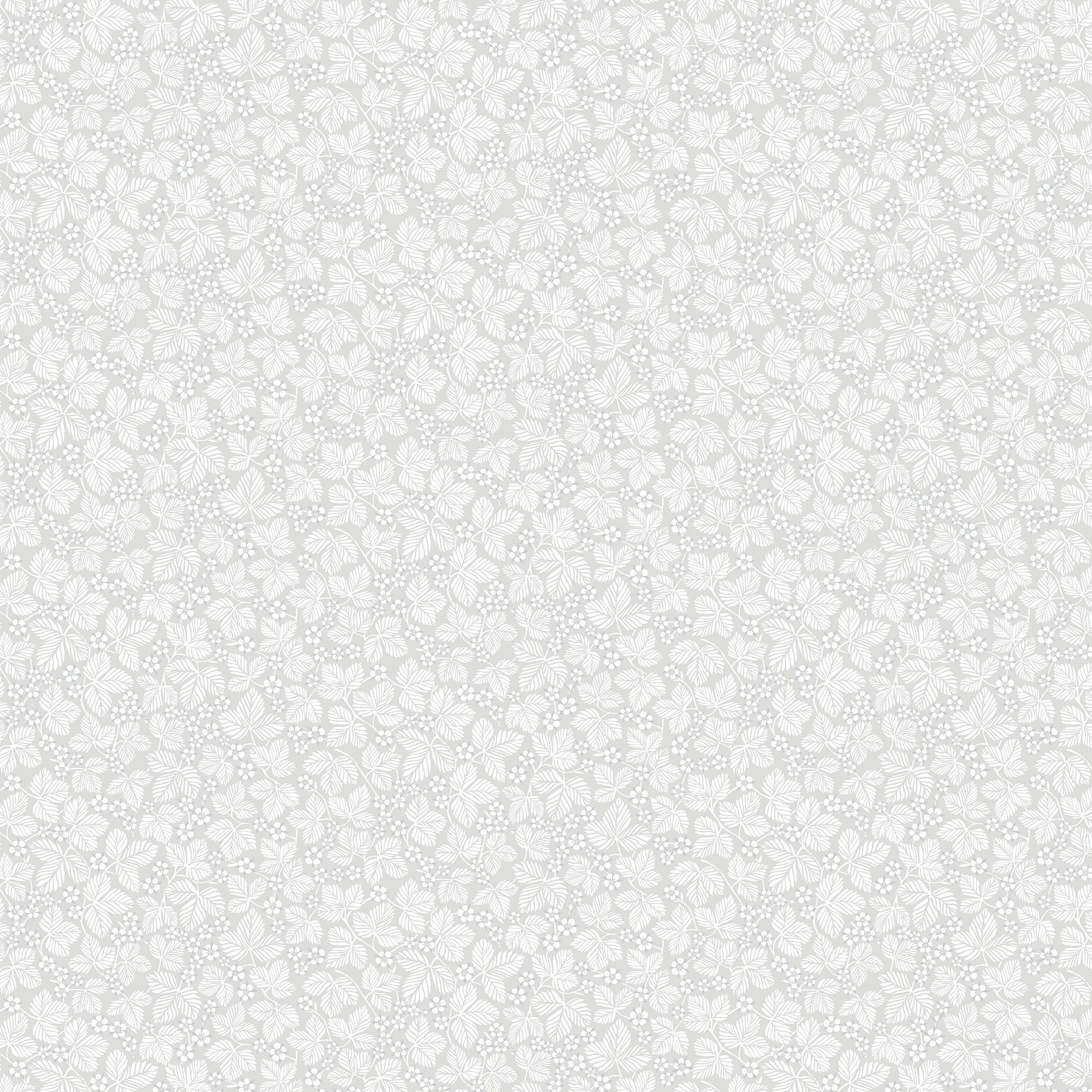 Light Grey Background Wallpaper (63+ images)