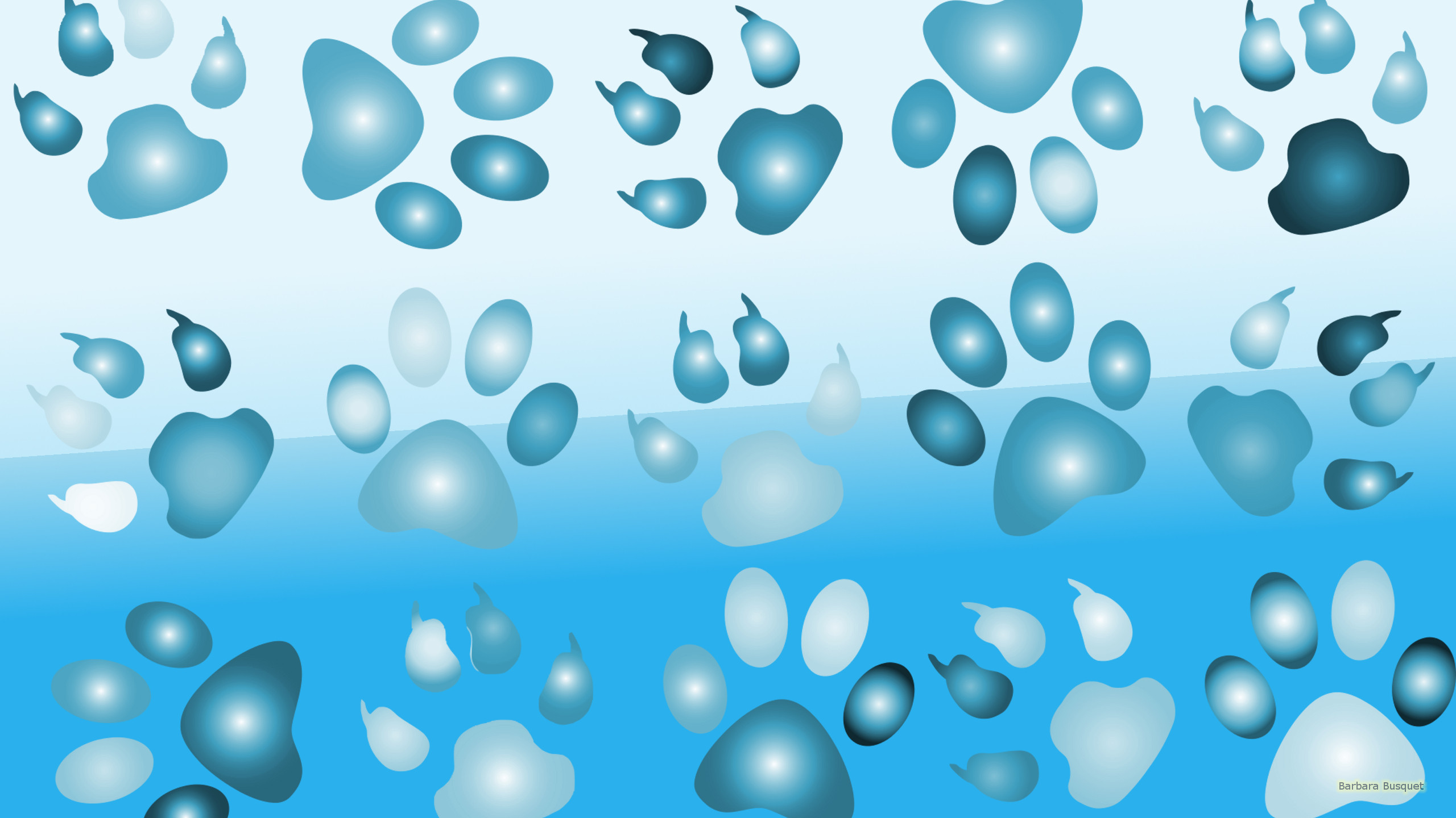 Dog Paws Wallpaper (41+ images)