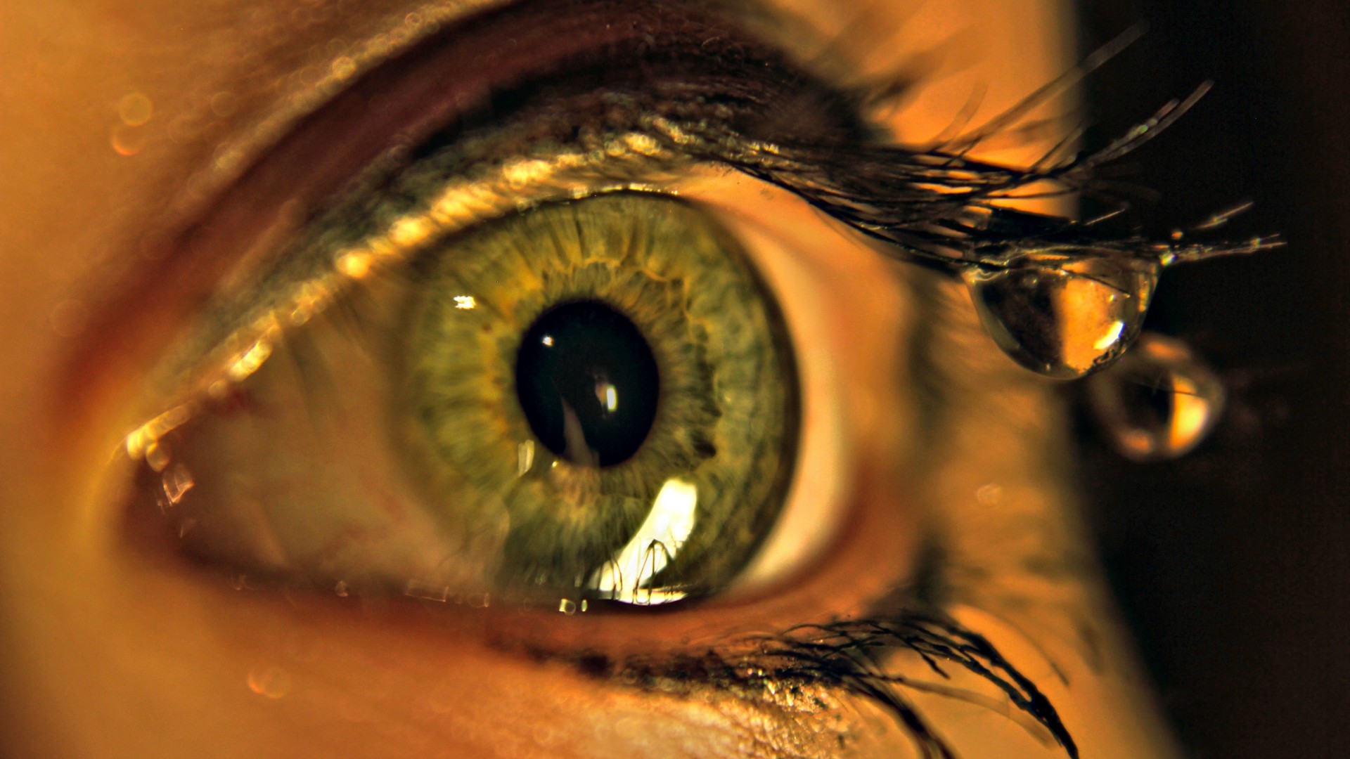 Rip And Tear Wallpaper (65+ images)