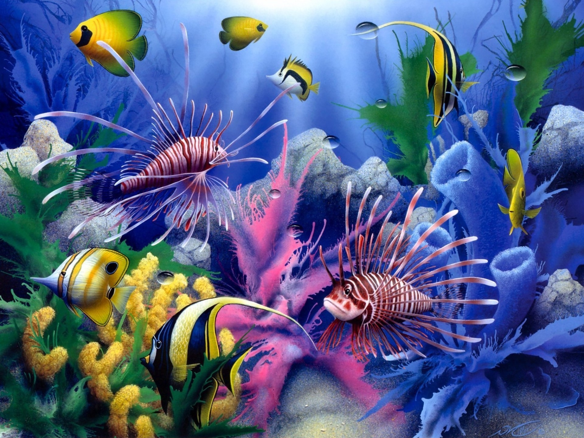 HD Ocean Sea Life Wallpapers (47+ images)