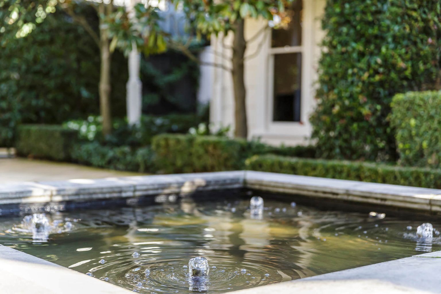 How to Keep Your Pond Water Clean? Get Wet Ponds