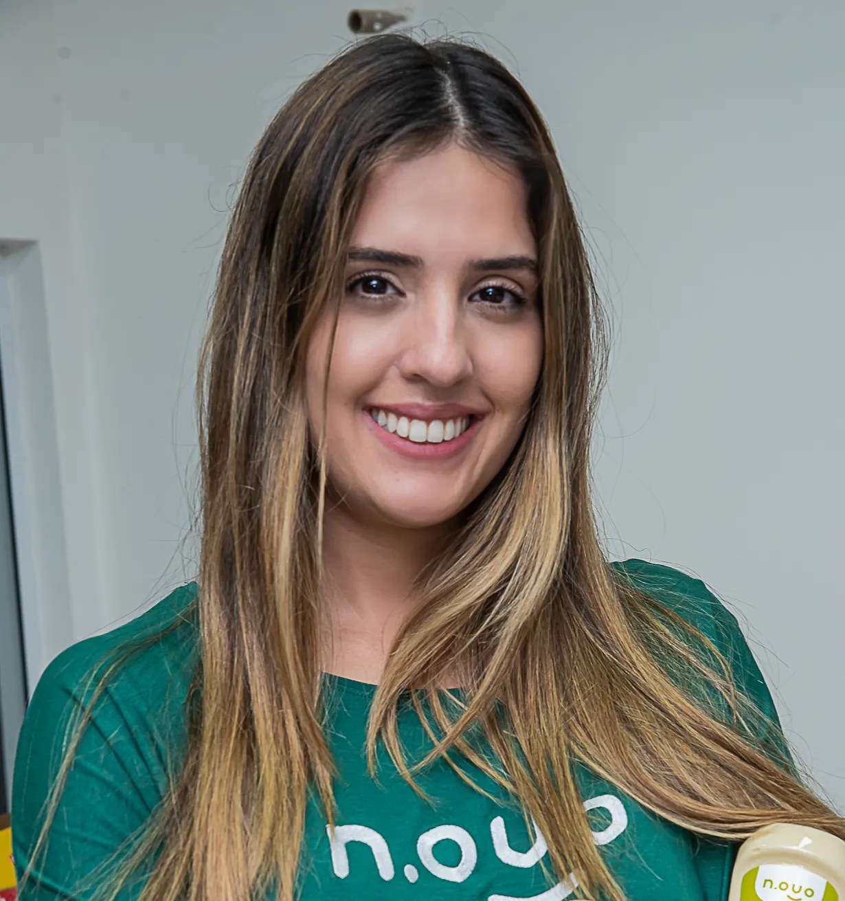 2. O GFI Brasil GFI Brasil