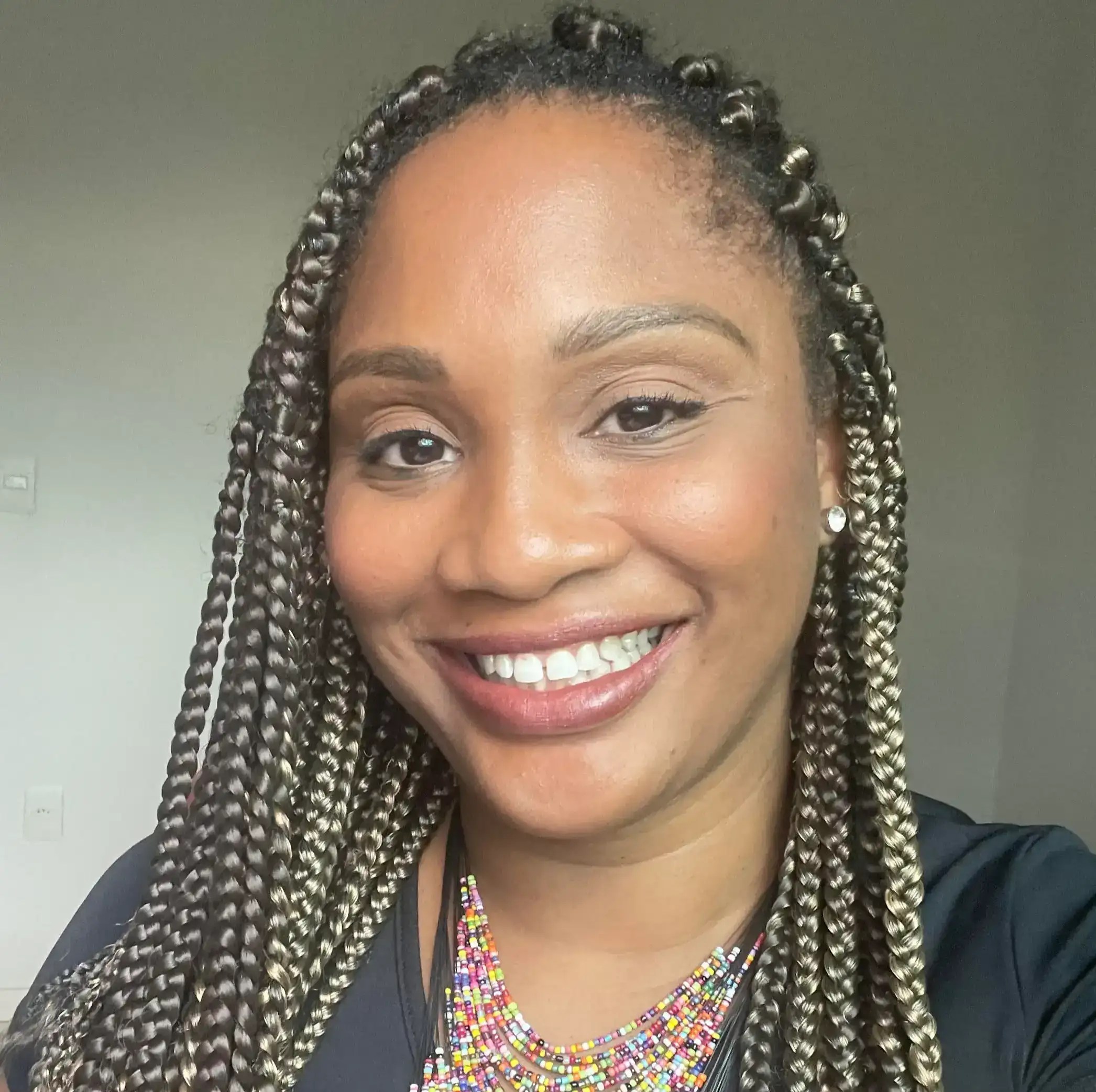 2. O GFI Brasil GFI Brasil