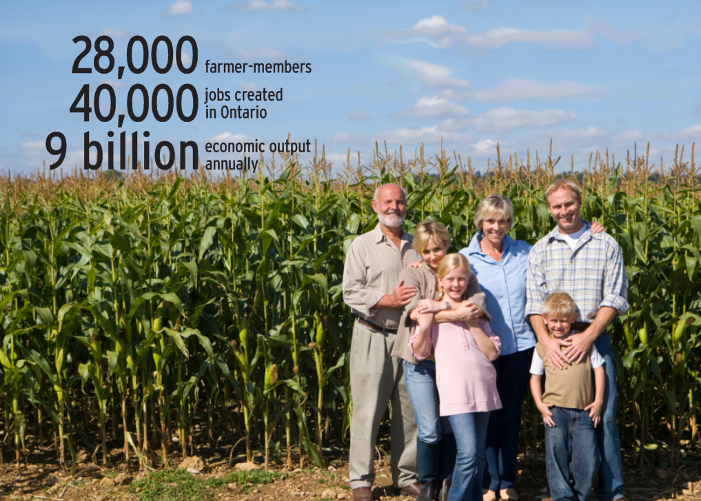 Putting Agriculture on the Election Agenda Grain Farmers of Ontario