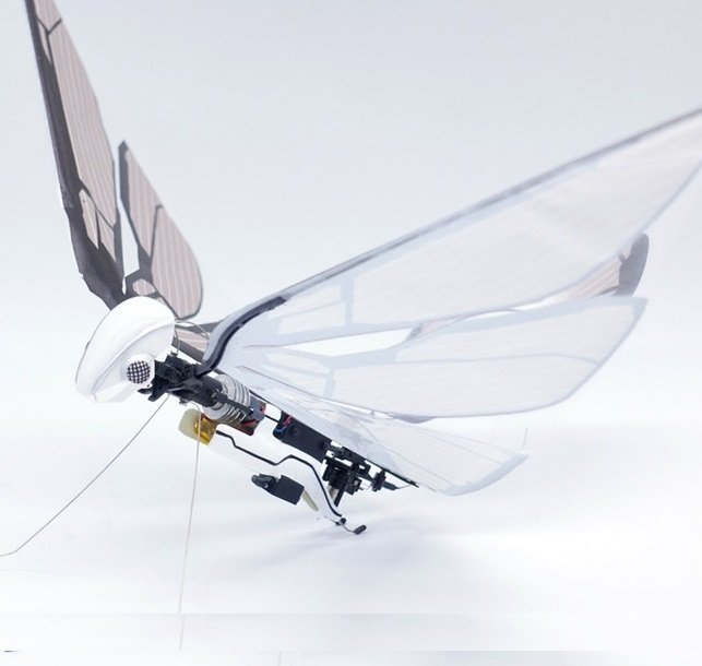 MetaFly A Cool Ornithopter Drone that You Can Buy Online