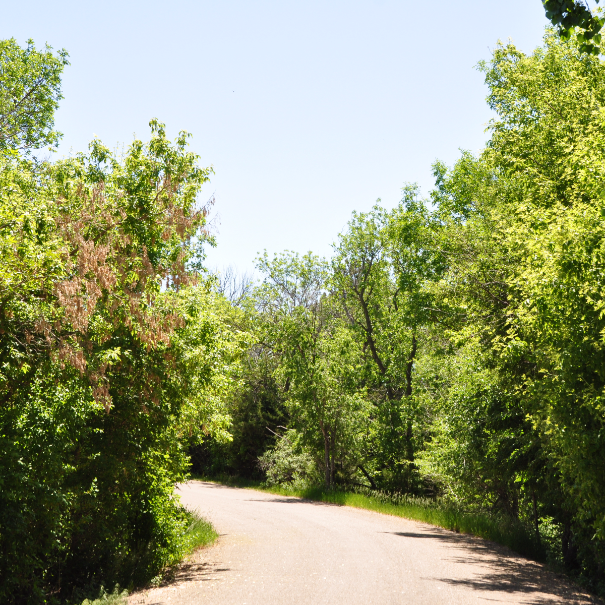Lake Hiddenwood Recreation Area South Dakota Game, Fish, and Parks