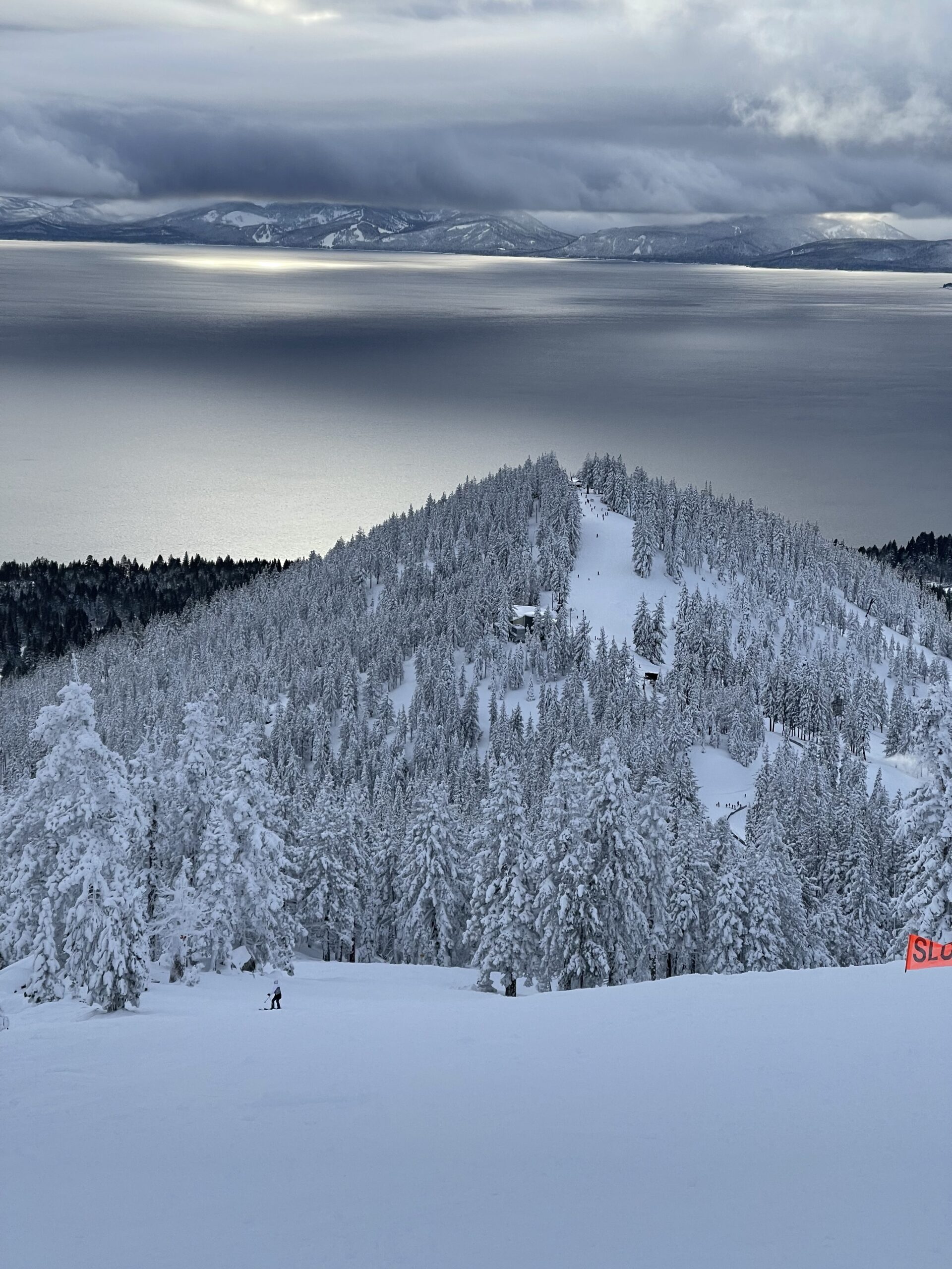 Lake Tahoe Vacation Rentals Goldfish Properties