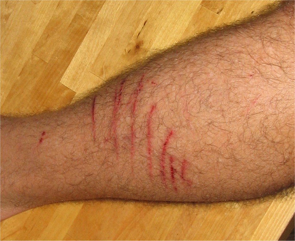 Ever wonder what happens