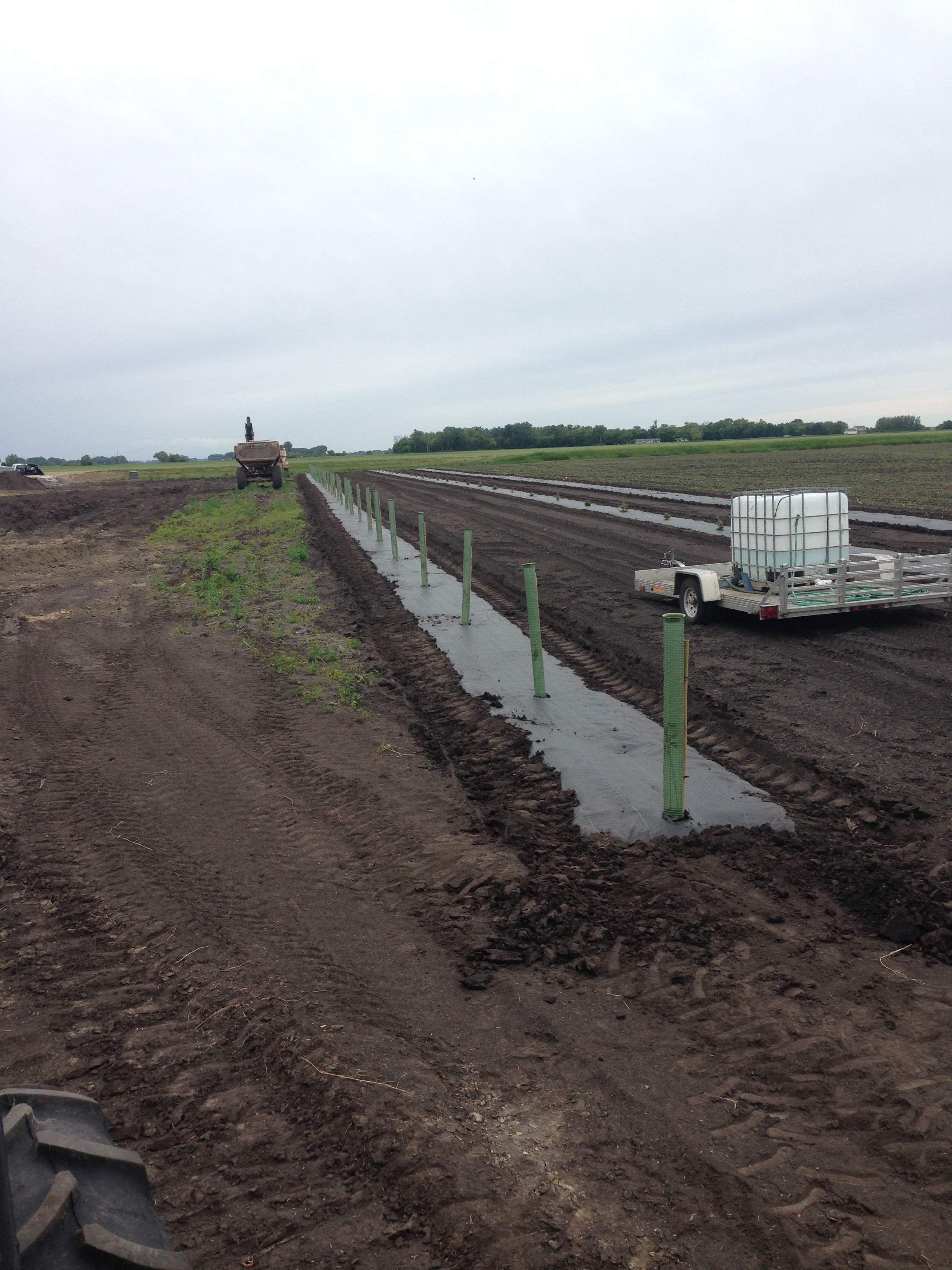 Tree Tubes Grand Forks County Soil Conservation District
