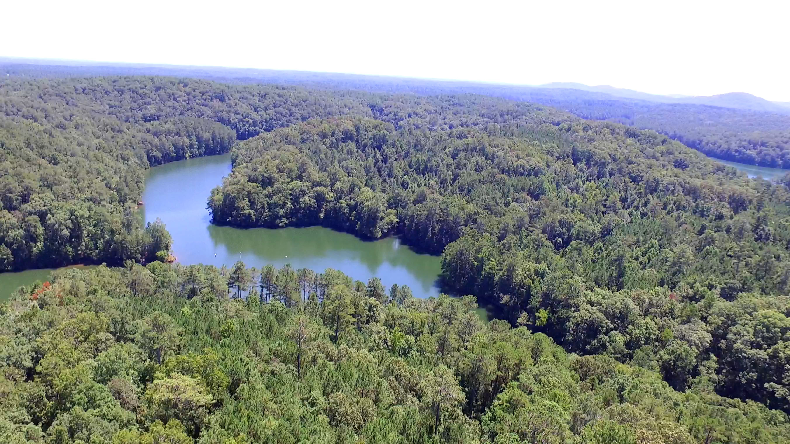 LOT 14 14.201+ Acres Chitwood Cove Borders Corp of Engineers Land