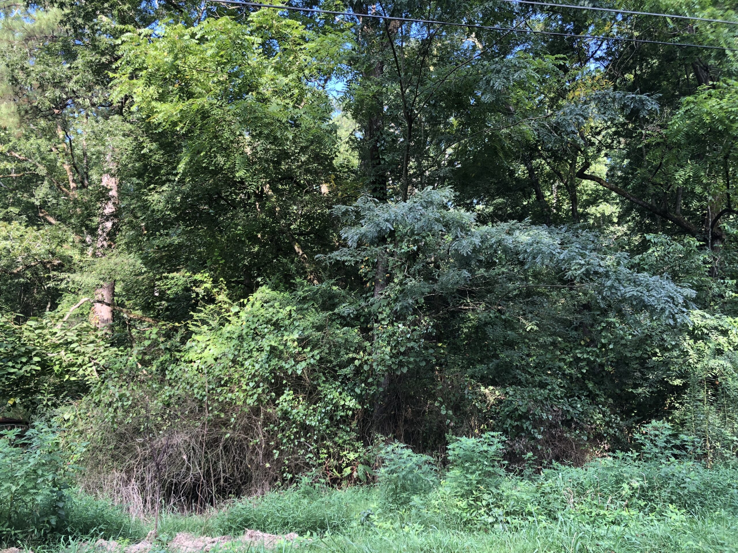 20 Acres Bartow County Near Barnsley Resort! F. Willis